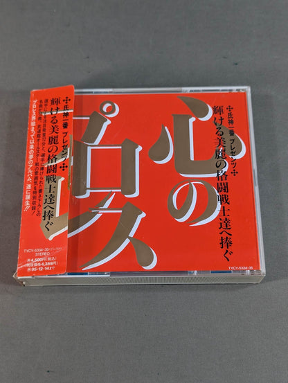 心のプロレス 輝ける美麗の格闘戦士達へ捧ぐ