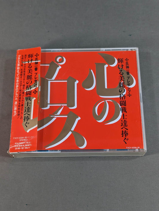心のプロレス 輝ける美麗の格闘戦士達へ捧ぐ