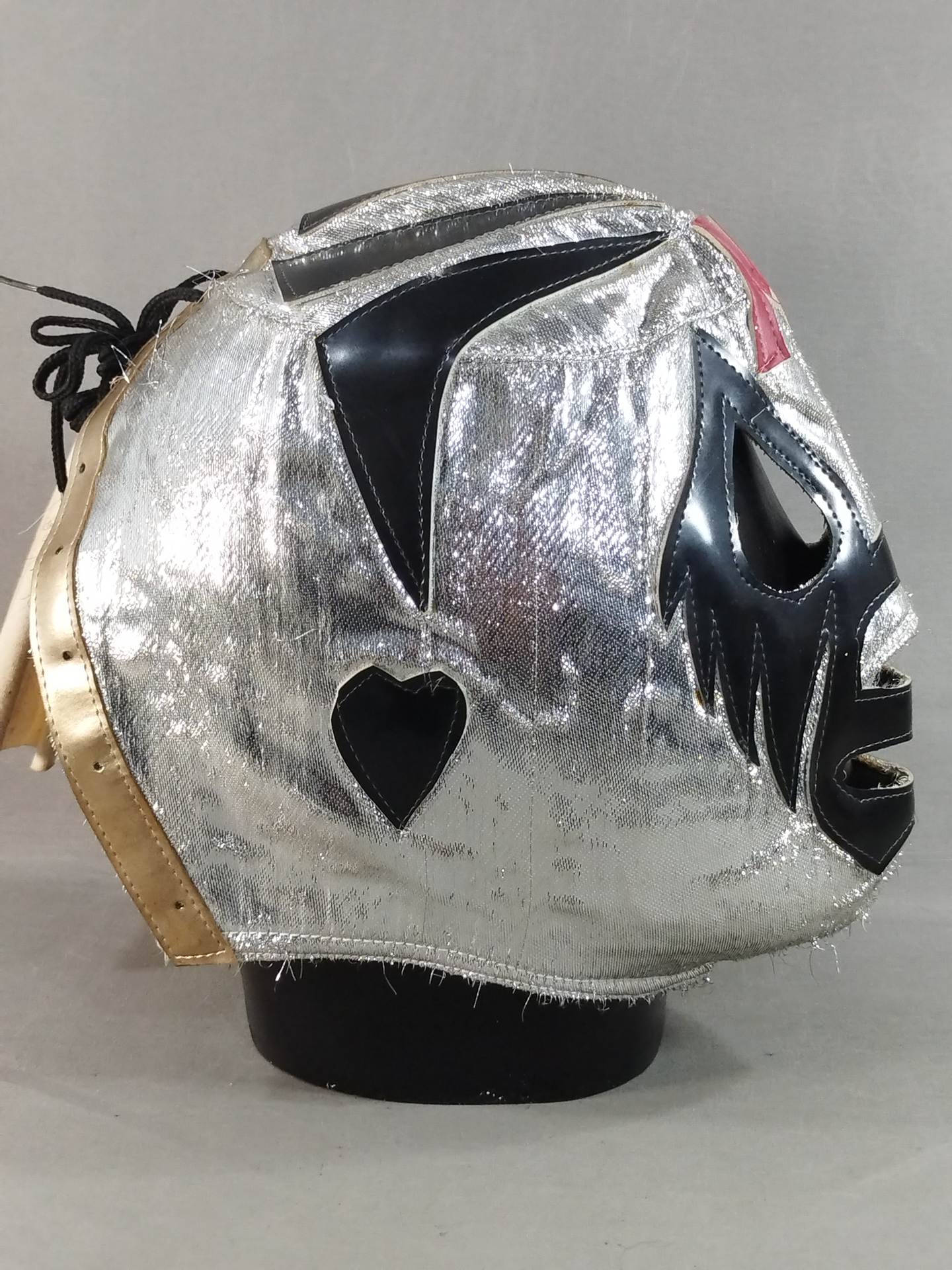 ミル・マスカラス – 闘道館