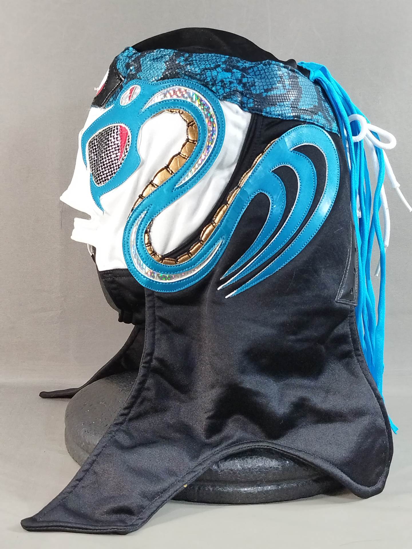 Pentagon Viper – 闘道館