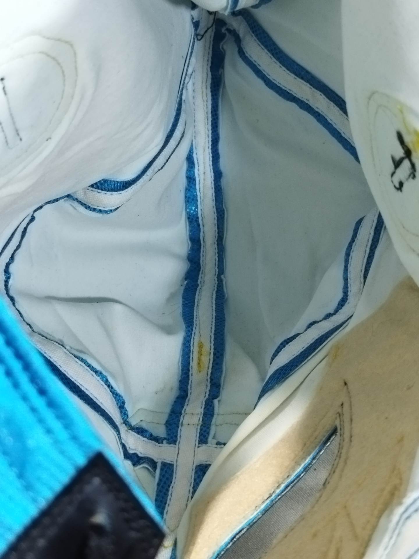 Volador  Jr.
