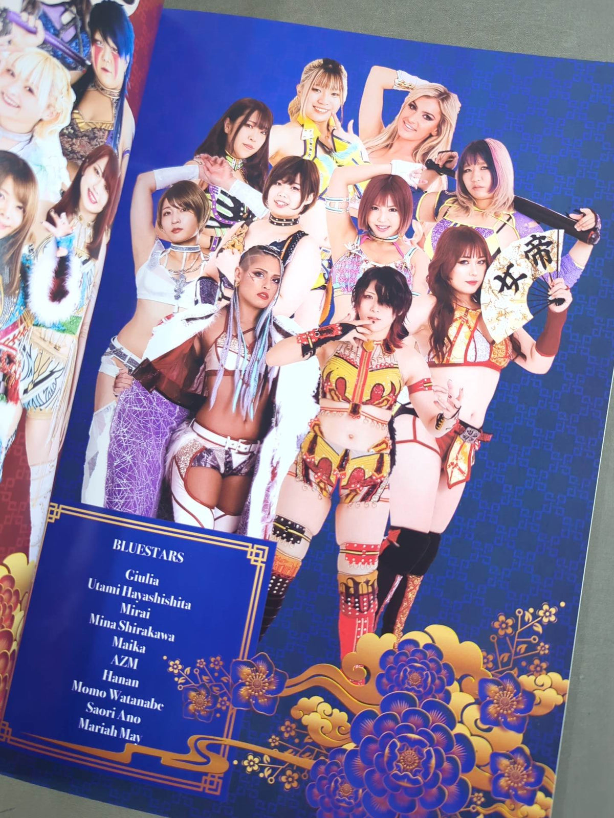 STARDOM OFFICIAL GUIDE BOOK Vol.148