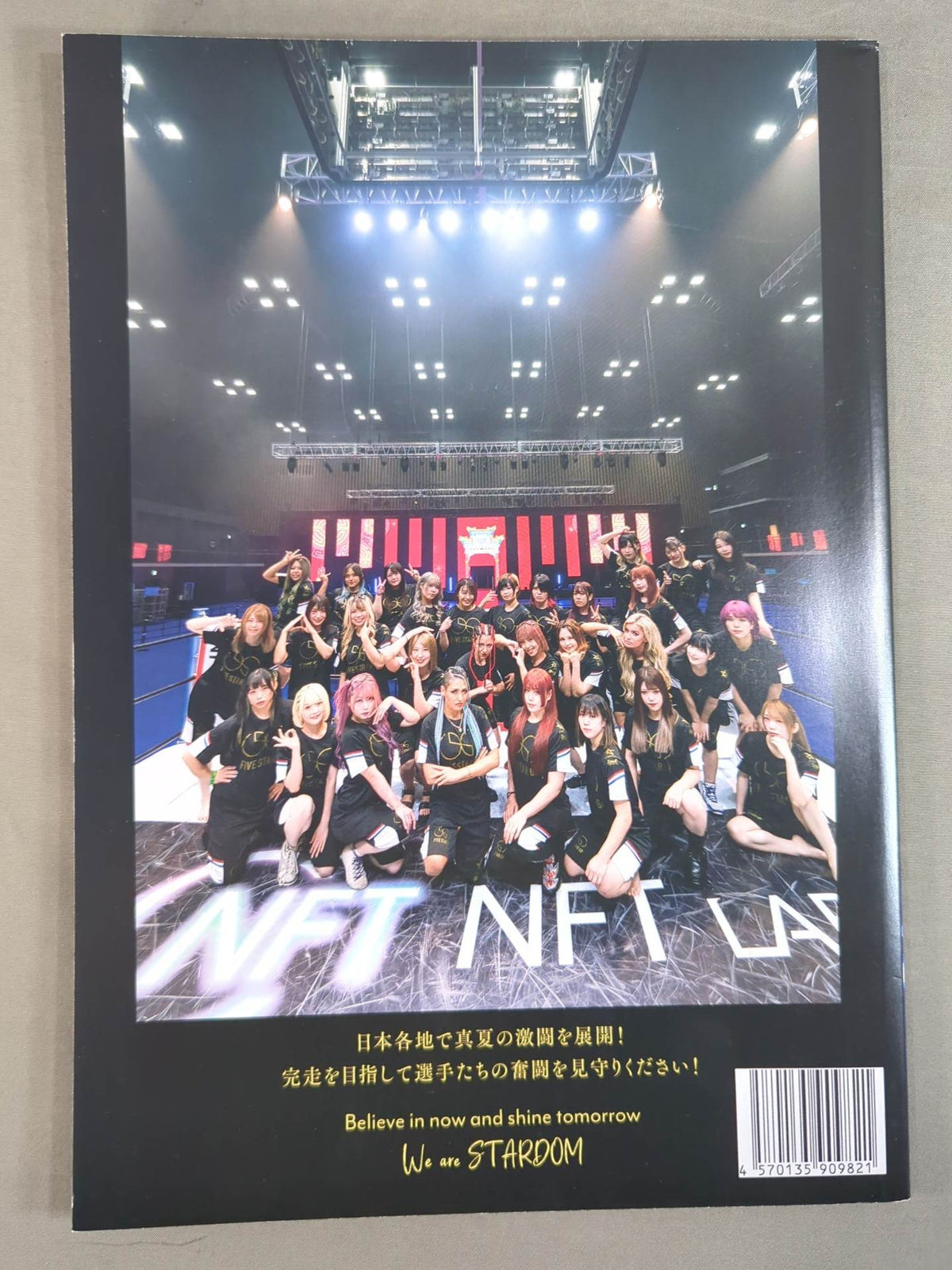 STARDOM OFFICIAL GUIDE BOOK Vol.148