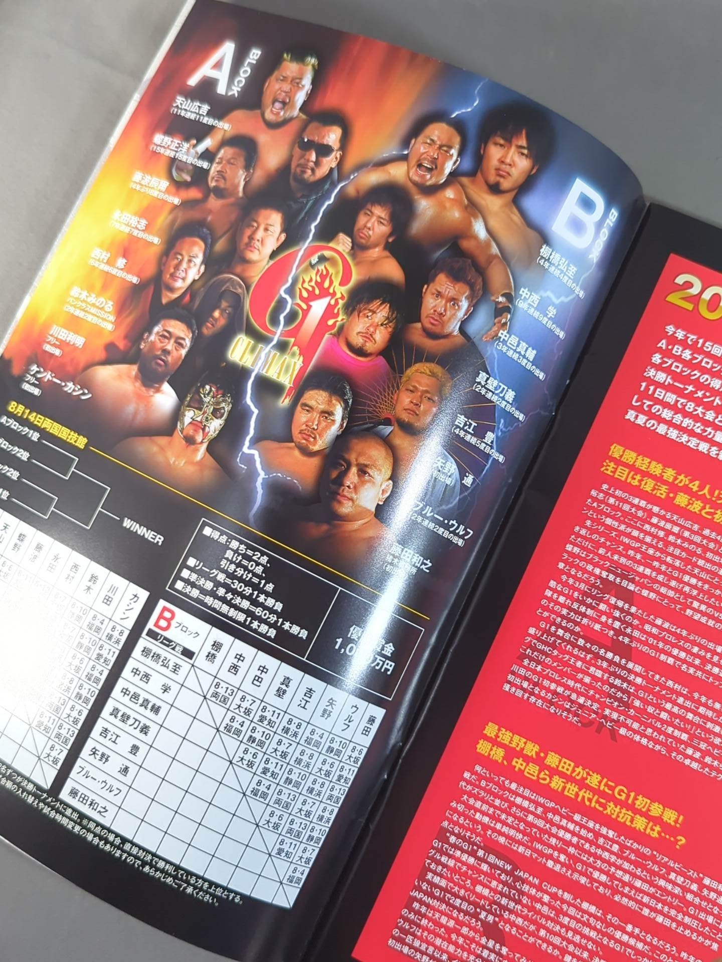 G1 CLIMAX 2005 / G1クライマックス15 – 闘道館