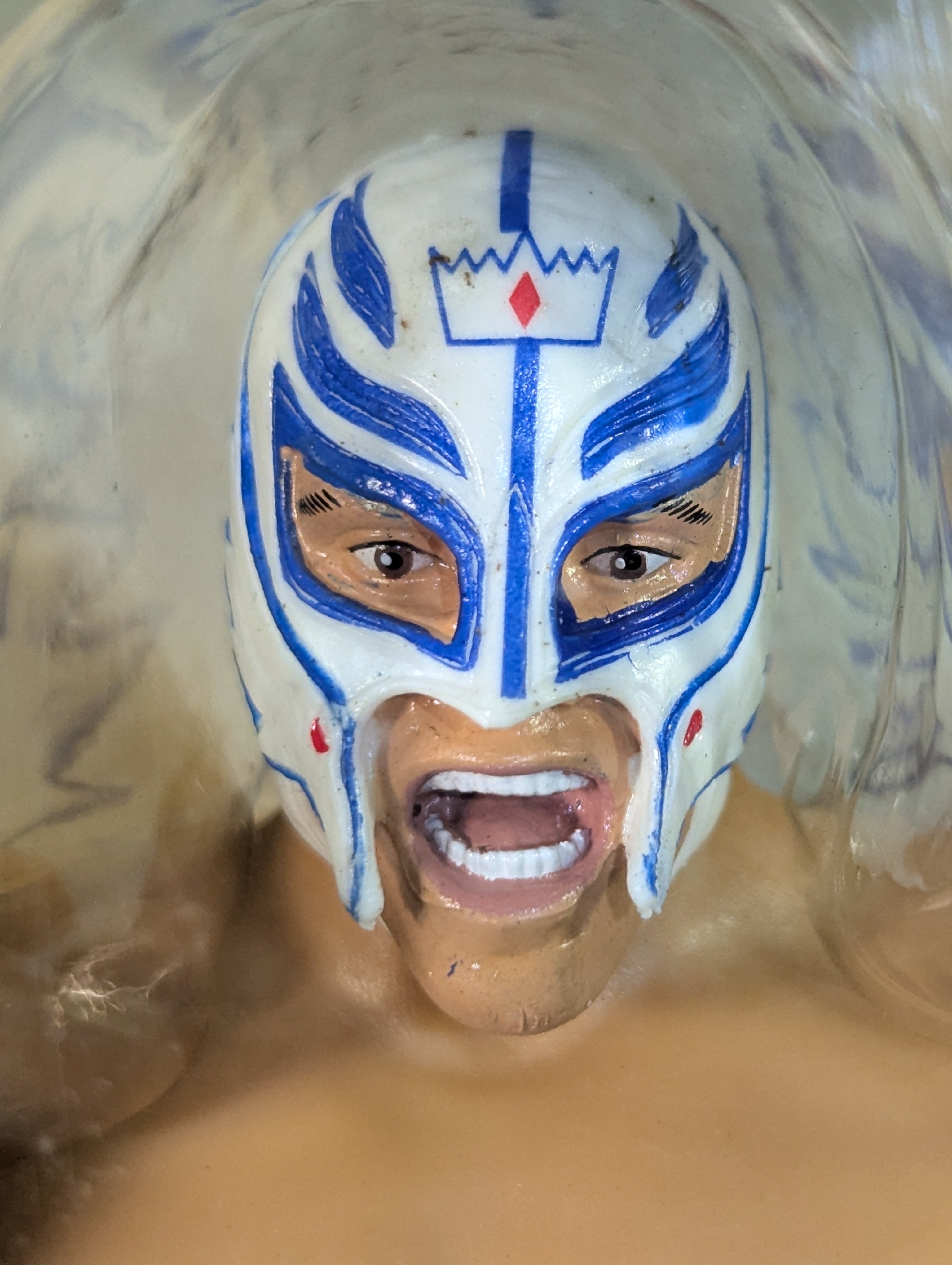 レイ・ミステリオ – 闘道館