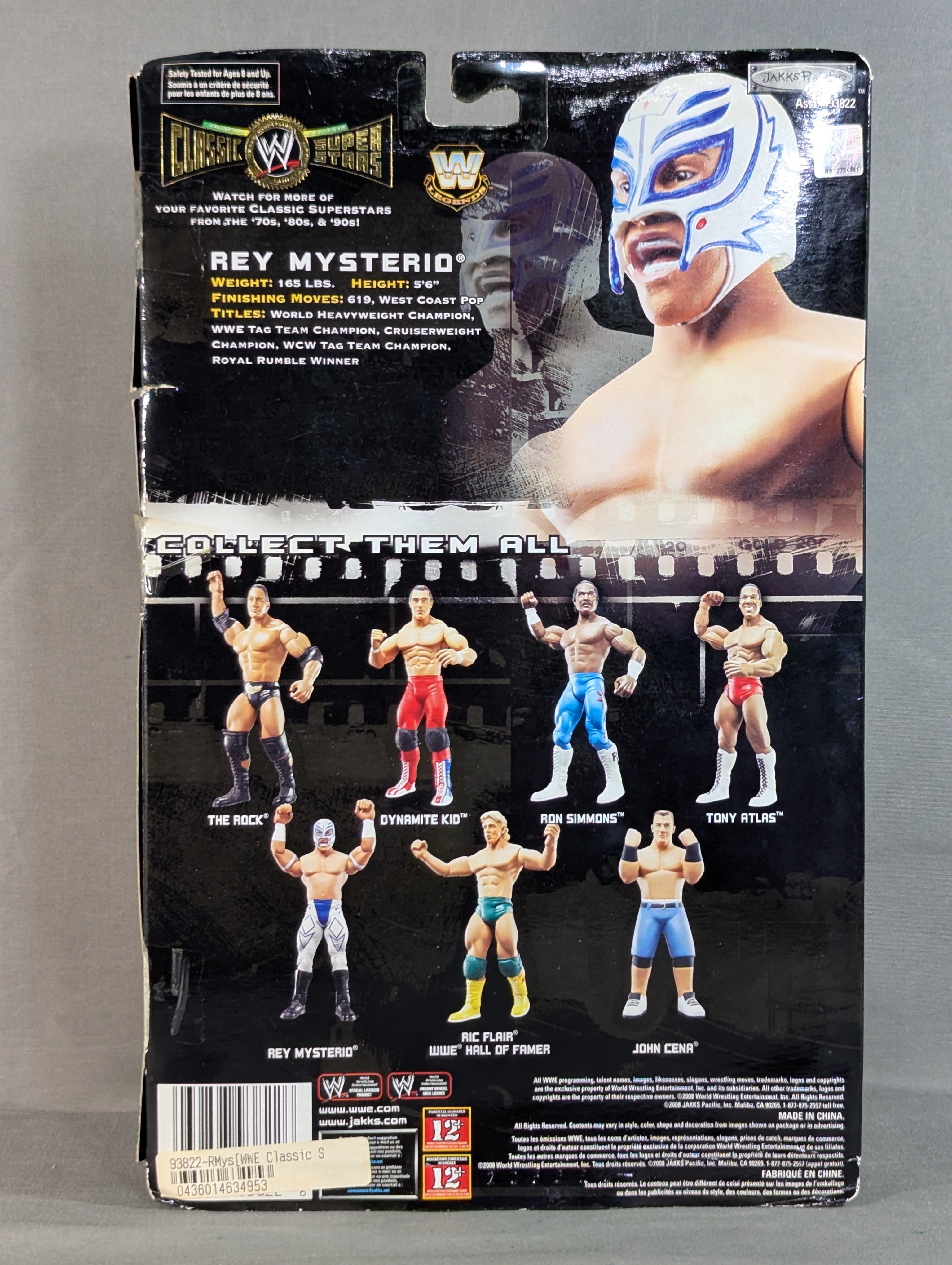 レイ・ミステリオ – 闘道館