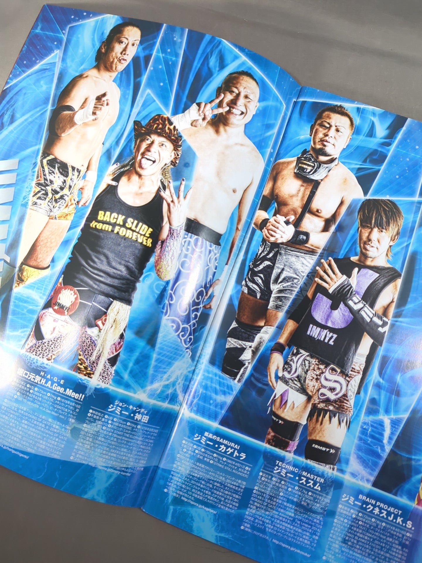 2015-2016 WINTER DRAGON GATE OFFICIAL PAMPHLET Vol.45