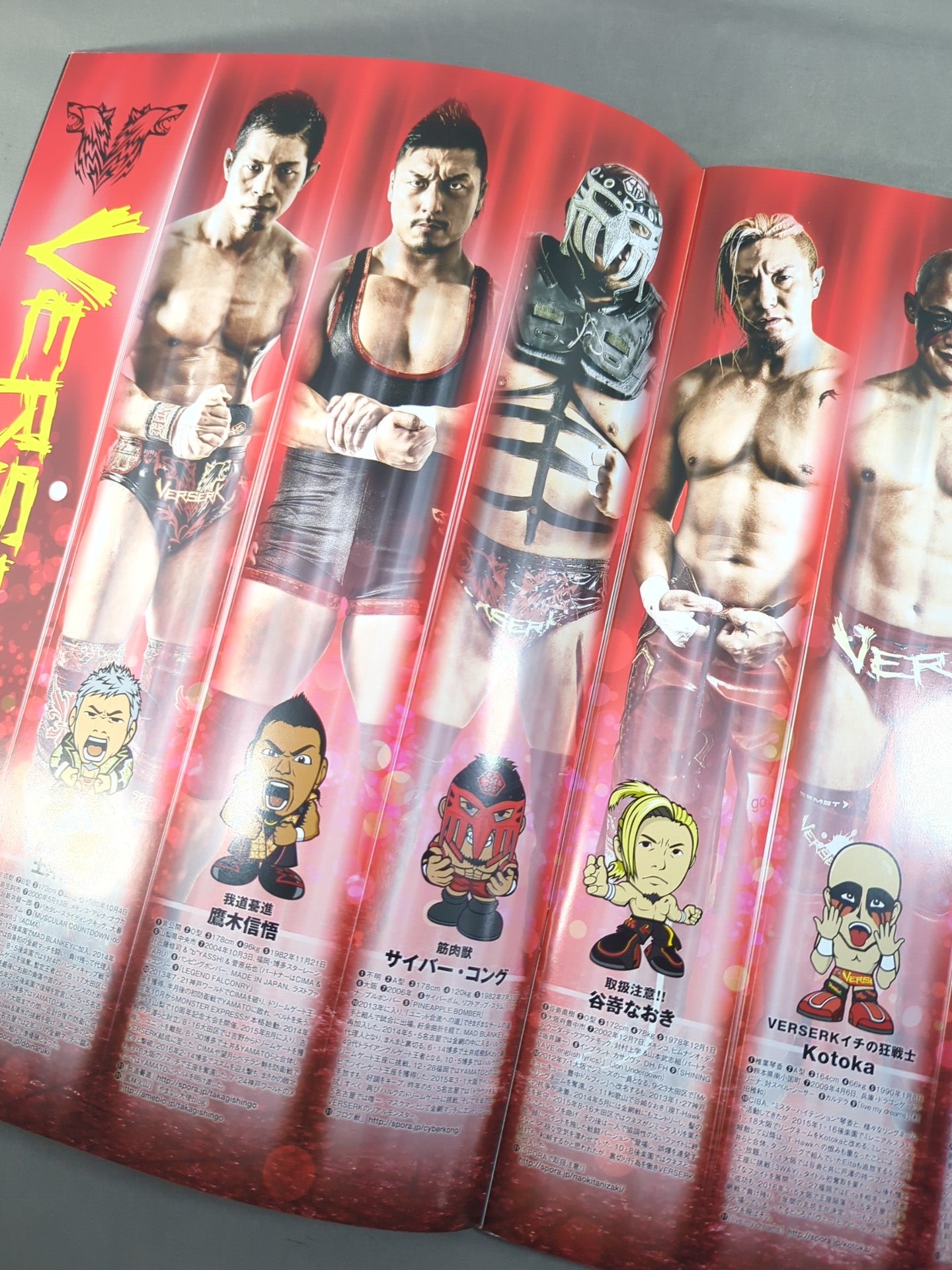 ドラゴン・キッド 直筆サイン入り】2016 DRAGON GATE OFFICIAL