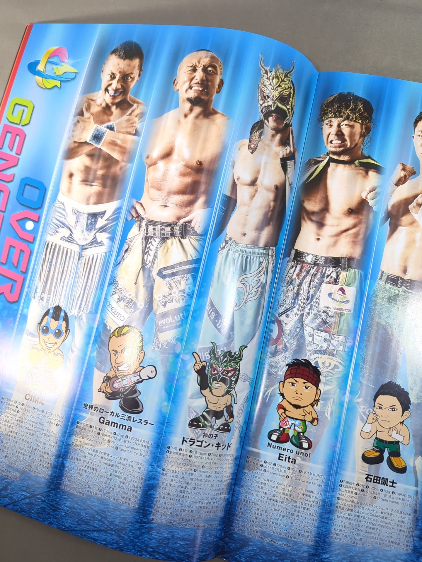 ドラゴン・キッド 直筆サイン入り】2016 DRAGON GATE OFFICIAL