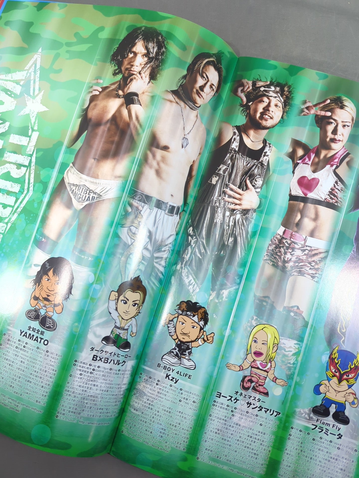 【ドラゴン・キッド 直筆サイン入り】2016 DRAGON GATE OFFICIAL PAMPHLET Vol.51
