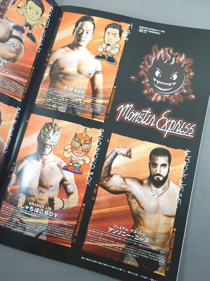 2016 DRAGON GATE OFFICIAL PAMPHLET Vol.50