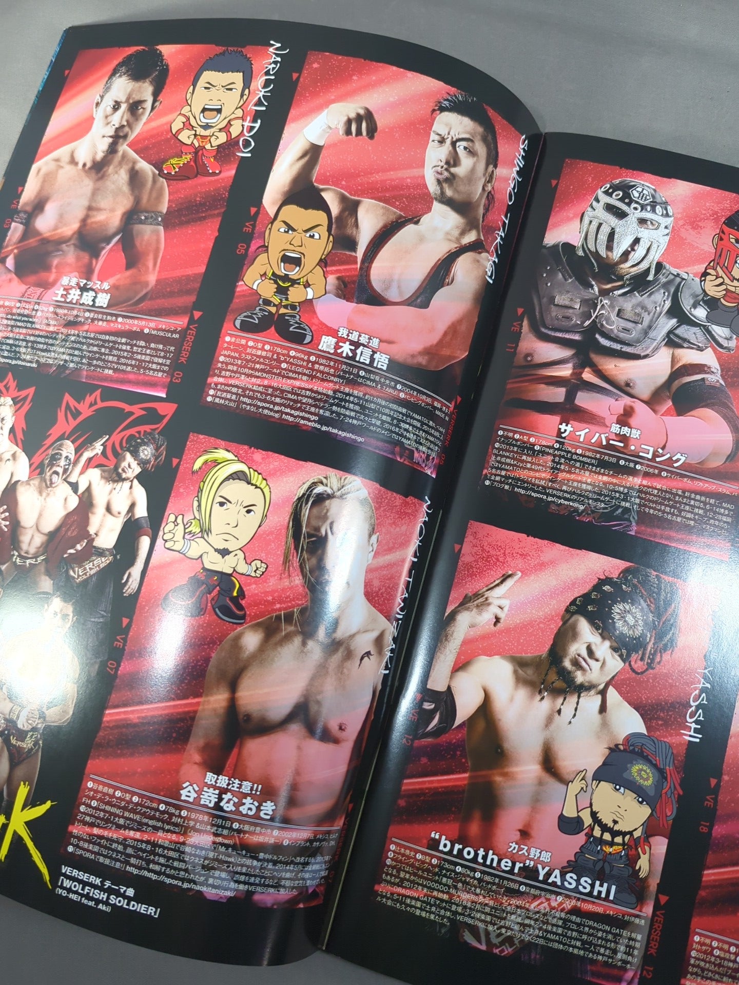 2016 DRAGON GATE OFFICIAL PAMPHLET Vol.50
