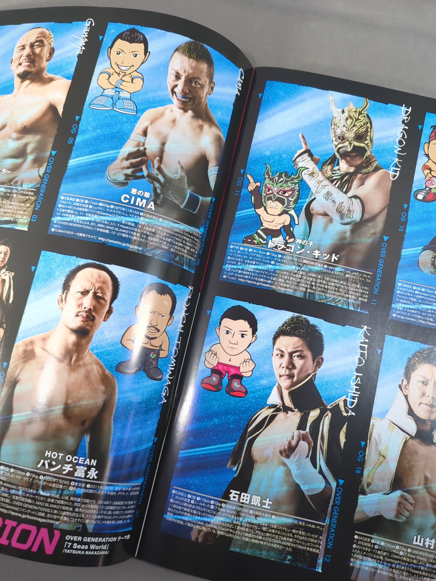 2016 DRAGON GATE OFFICIAL PAMPHLET Vol.50