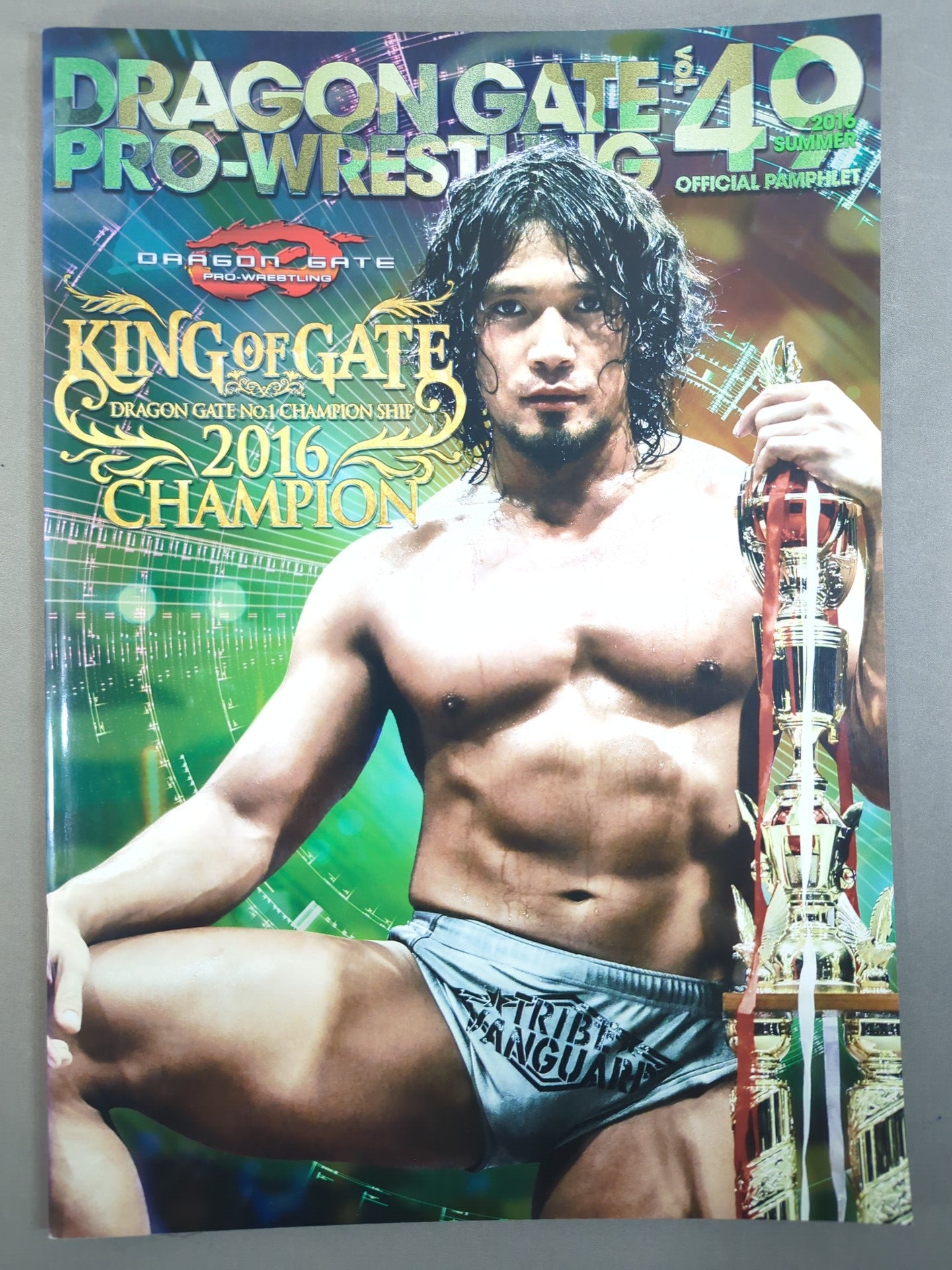 2016 DRAGON GATE OFFICIAL PAMPHLET Vol.49