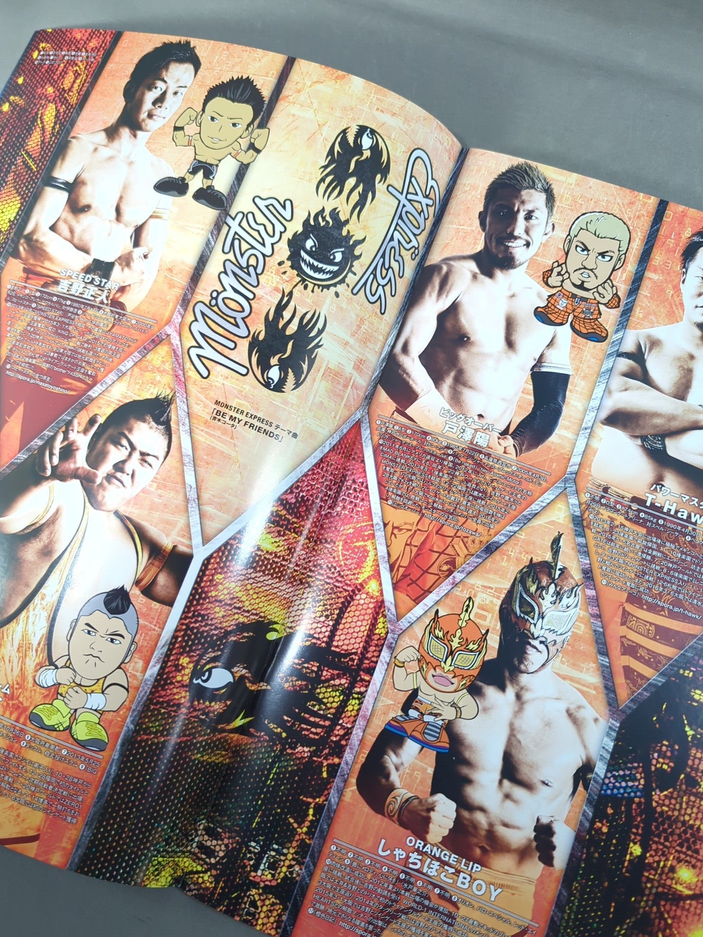 2016 DRAGON GATE OFFICIAL PAMPHLET Vol.49
