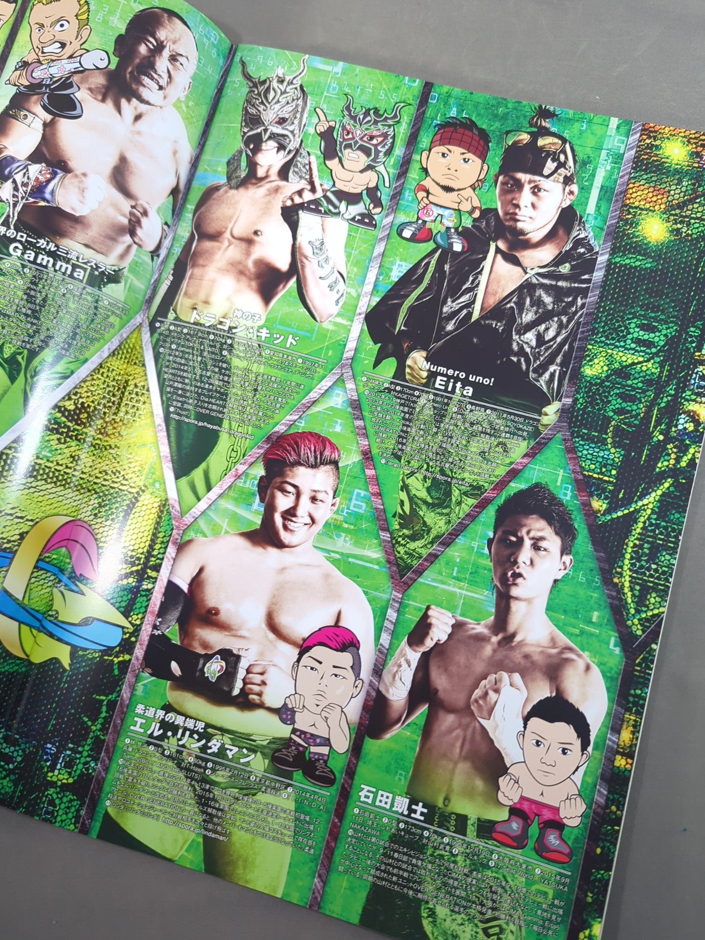 2016 DRAGON GATE OFFICIAL PAMPHLET Vol.49