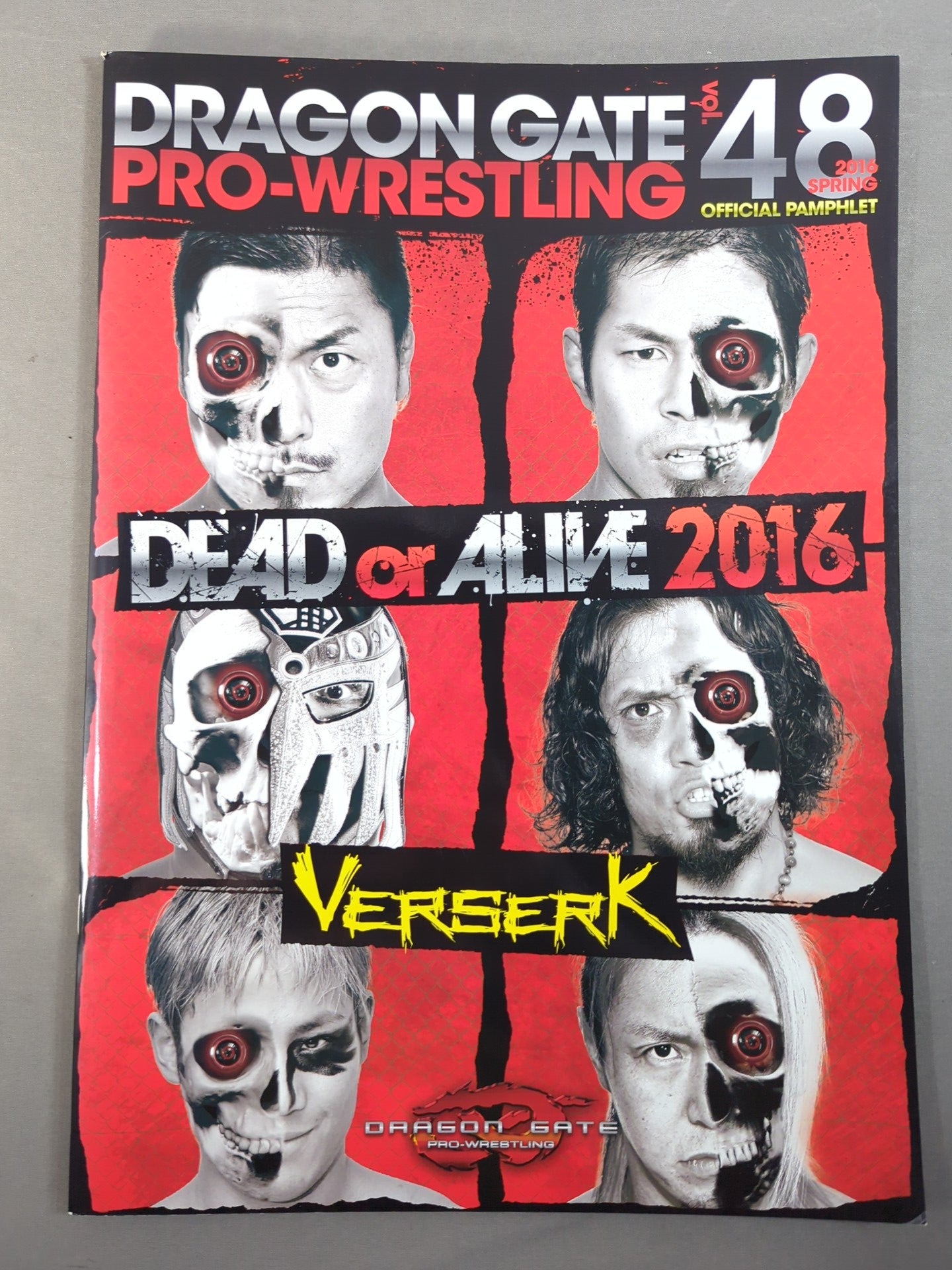 2016 DRAGON GATE OFFICIAL PAMPHLET Vol.48