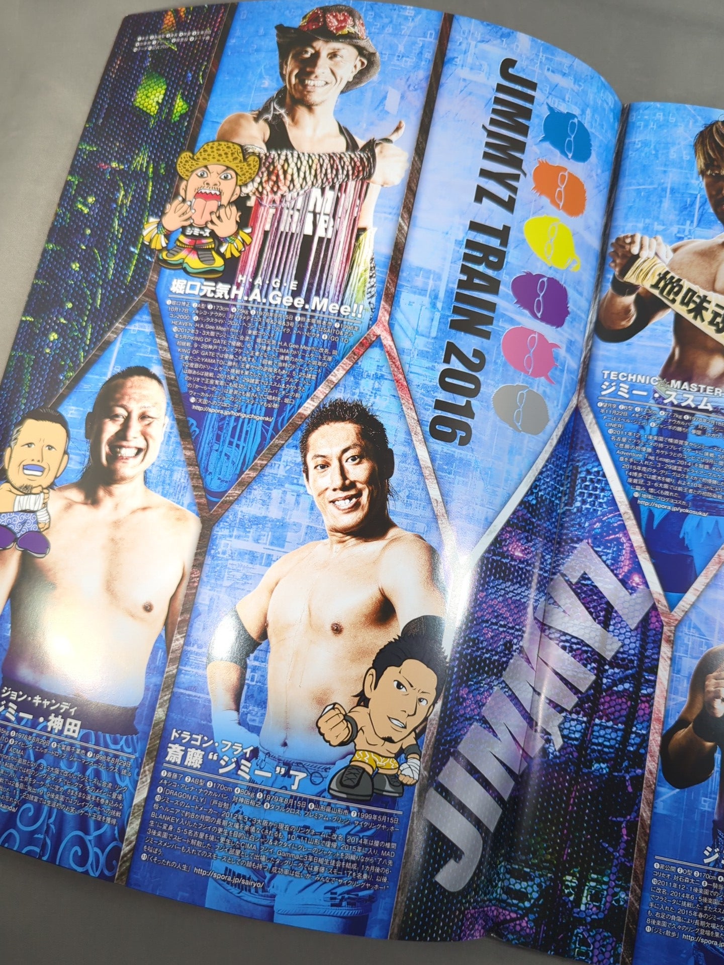 2016 DRAGON GATE OFFICIAL PAMPHLET Vol.48