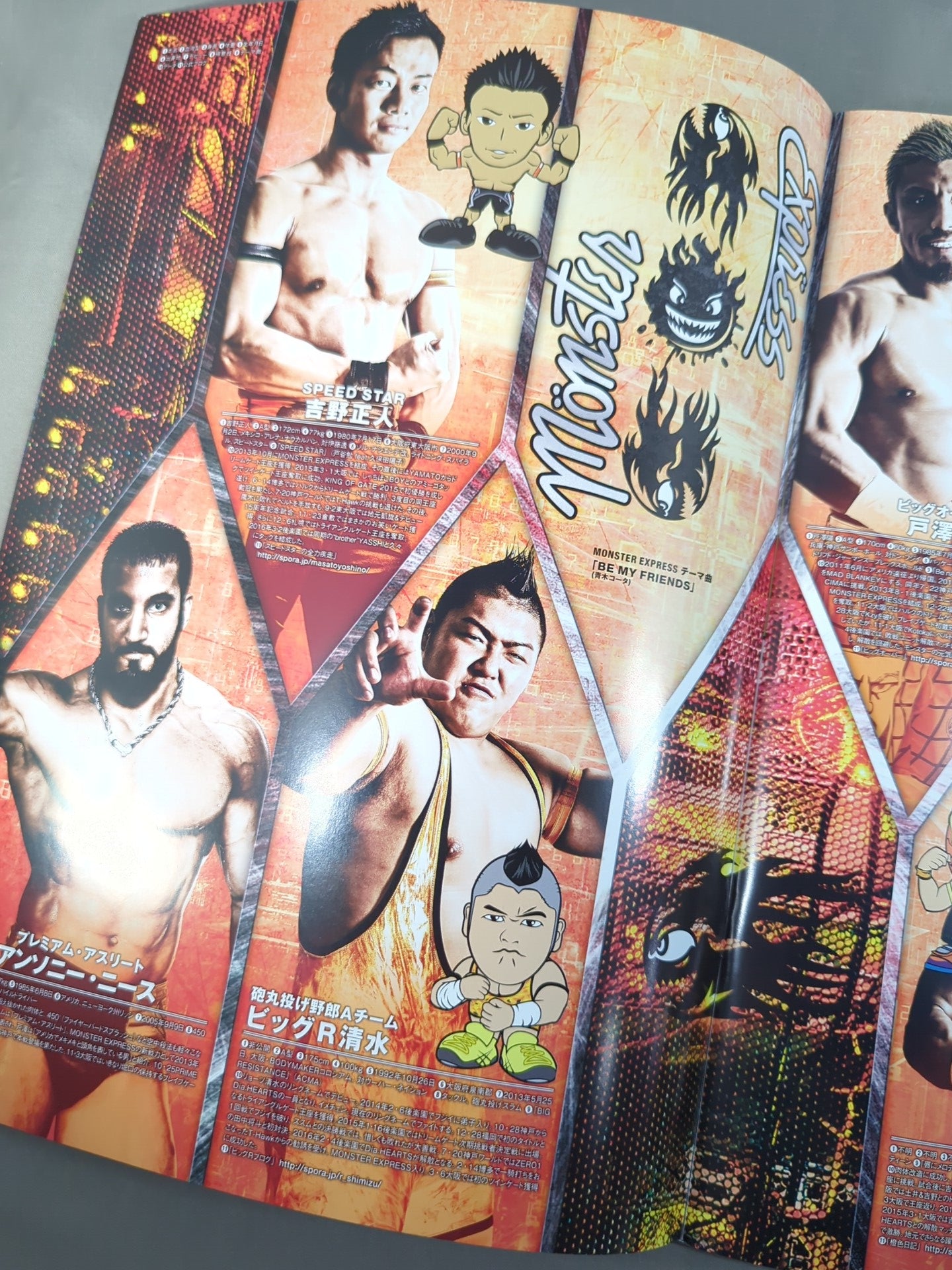 2016 DRAGON GATE OFFICIAL PAMPHLET Vol.48