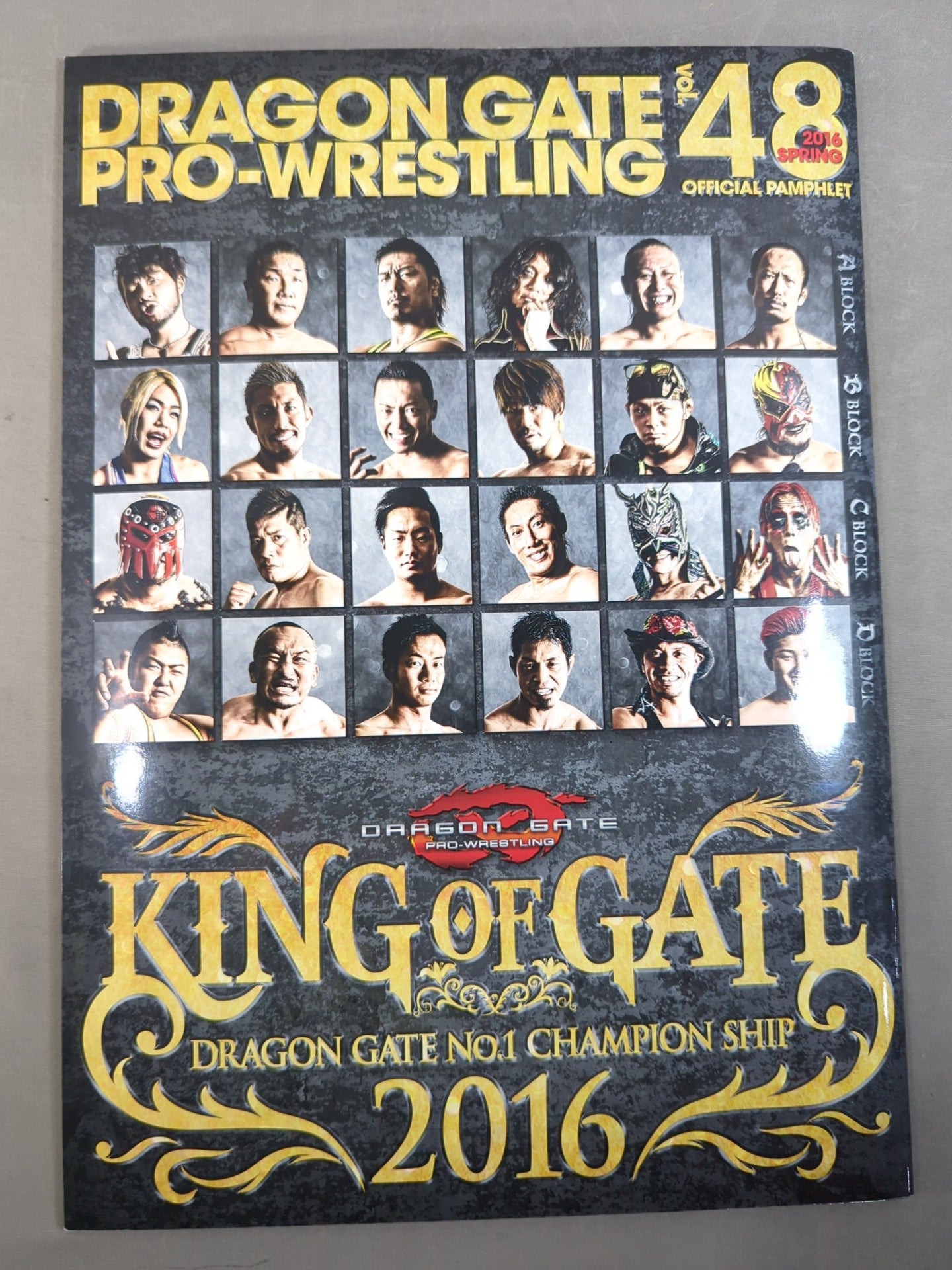 2016 DRAGON GATE OFFICIAL PAMPHLET Vol.48