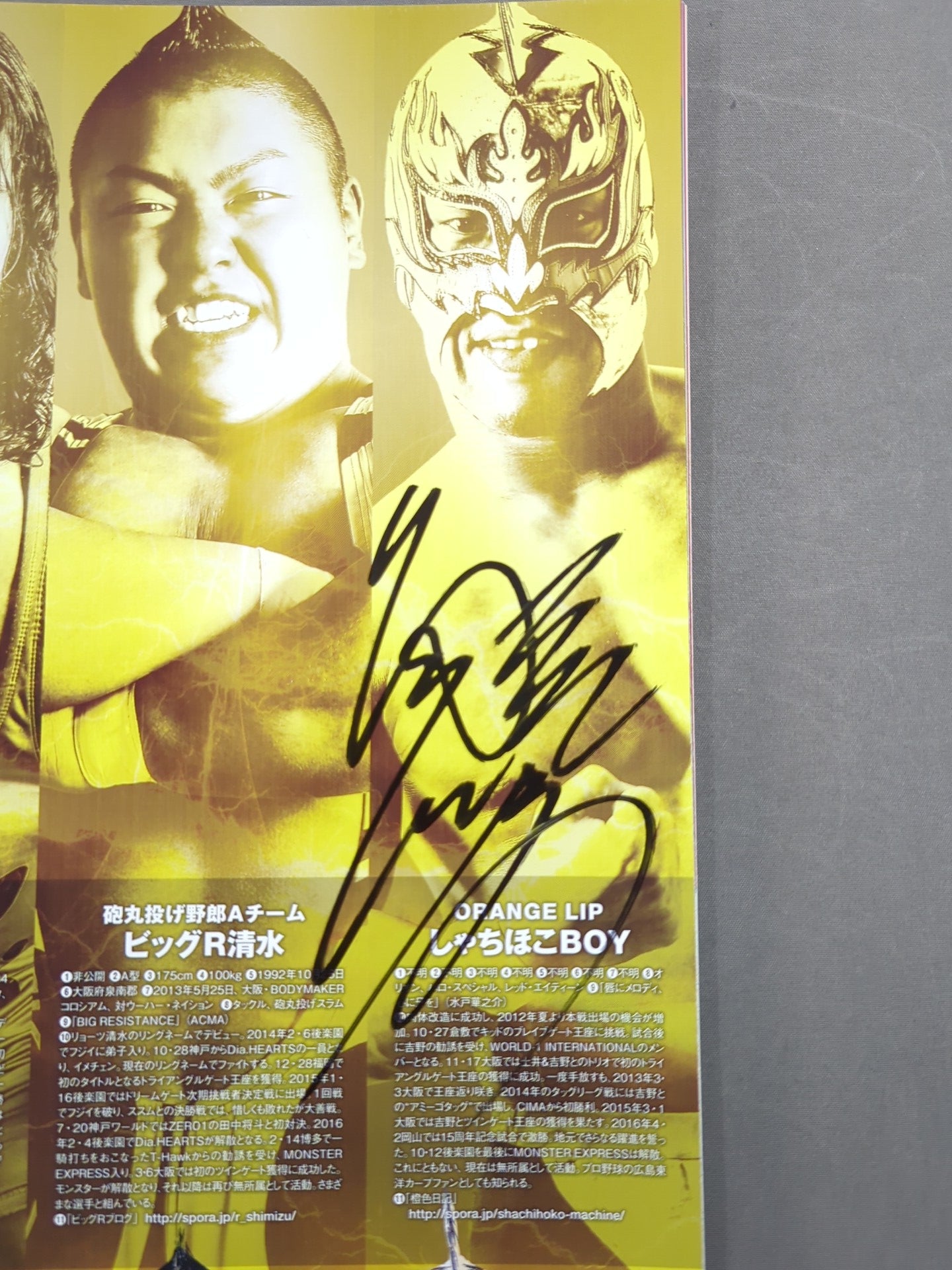 【2選手直筆サイン入り】2016-2017 DRAGON GATE OFFICIAL PAMPHLET Vol.53