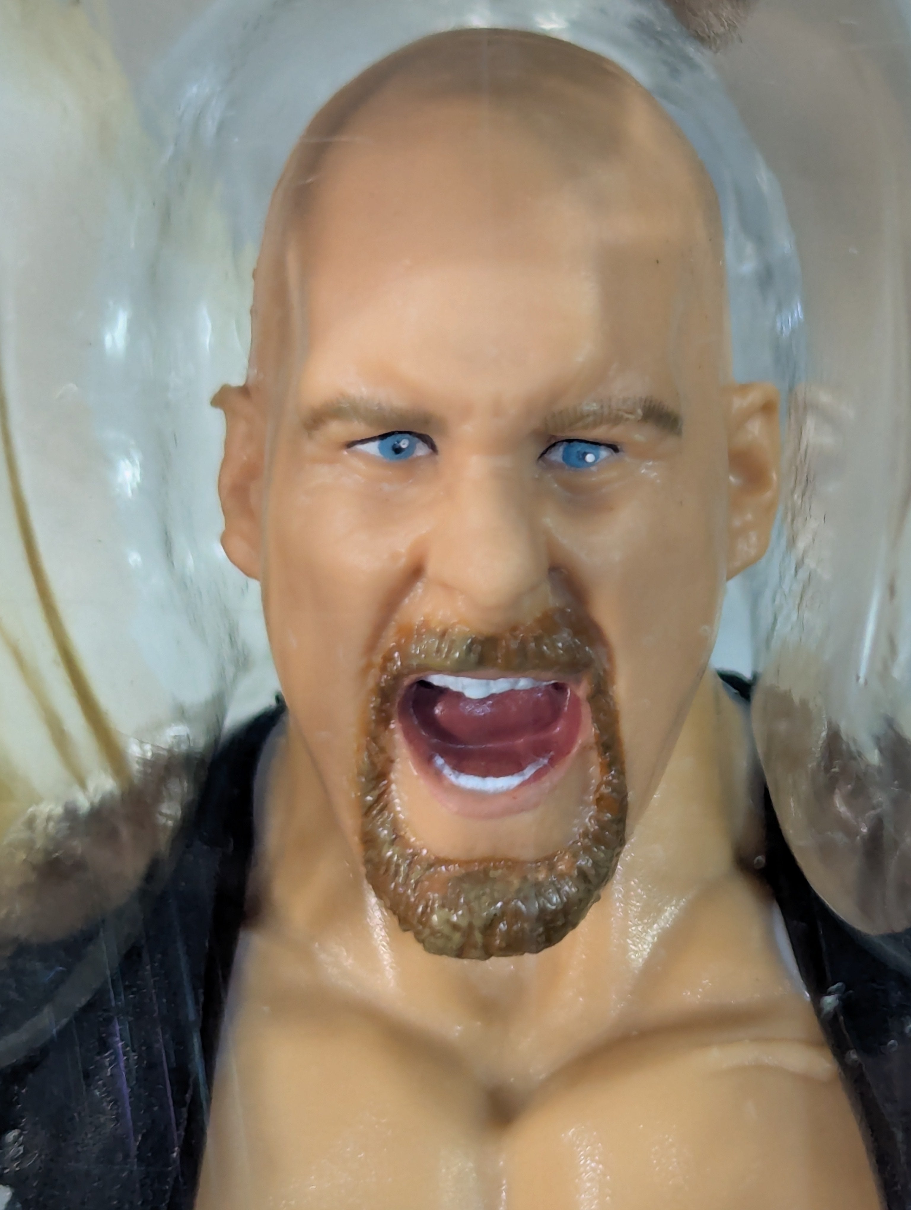 ストーン・コールド・スティーブ・オースチン – 闘道館