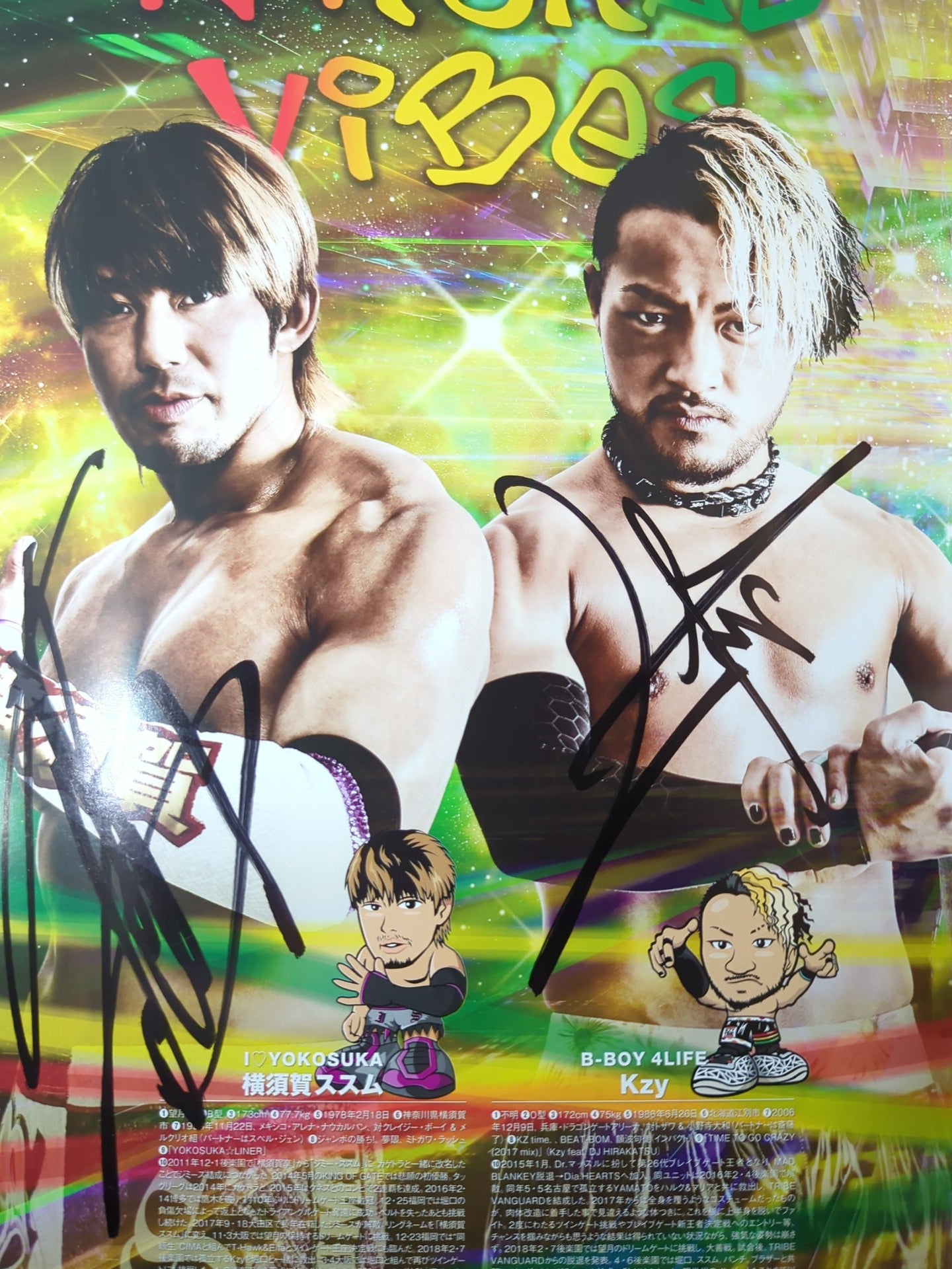 7選手直筆サイン入り】2018 DRAGON GATE OFFICIAL PAMPHLET Vol.66