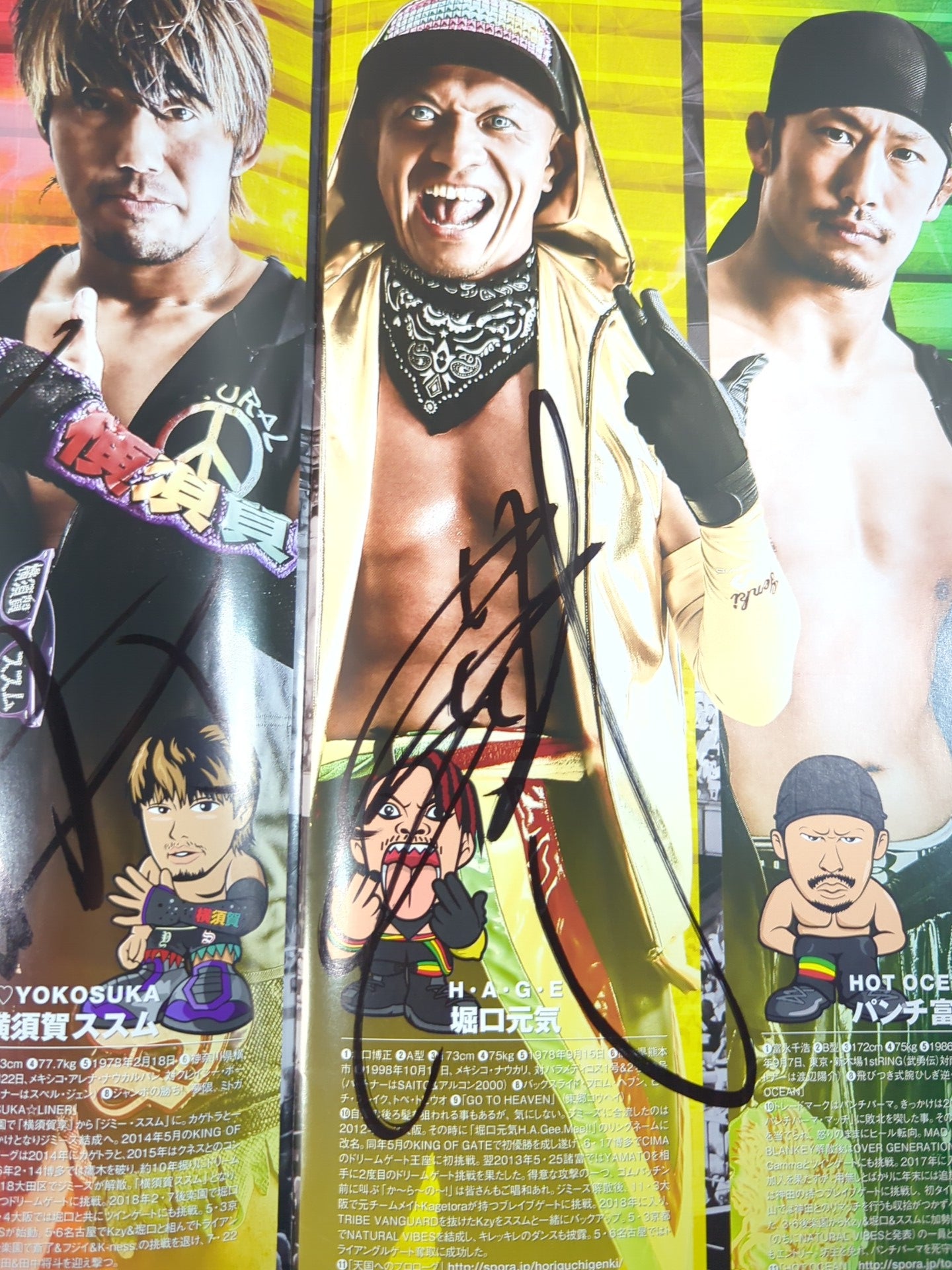 5選手直筆サイン入り】2018 DRAGON GATE OFFICIAL PROGRAM Vol.1 – 闘道館