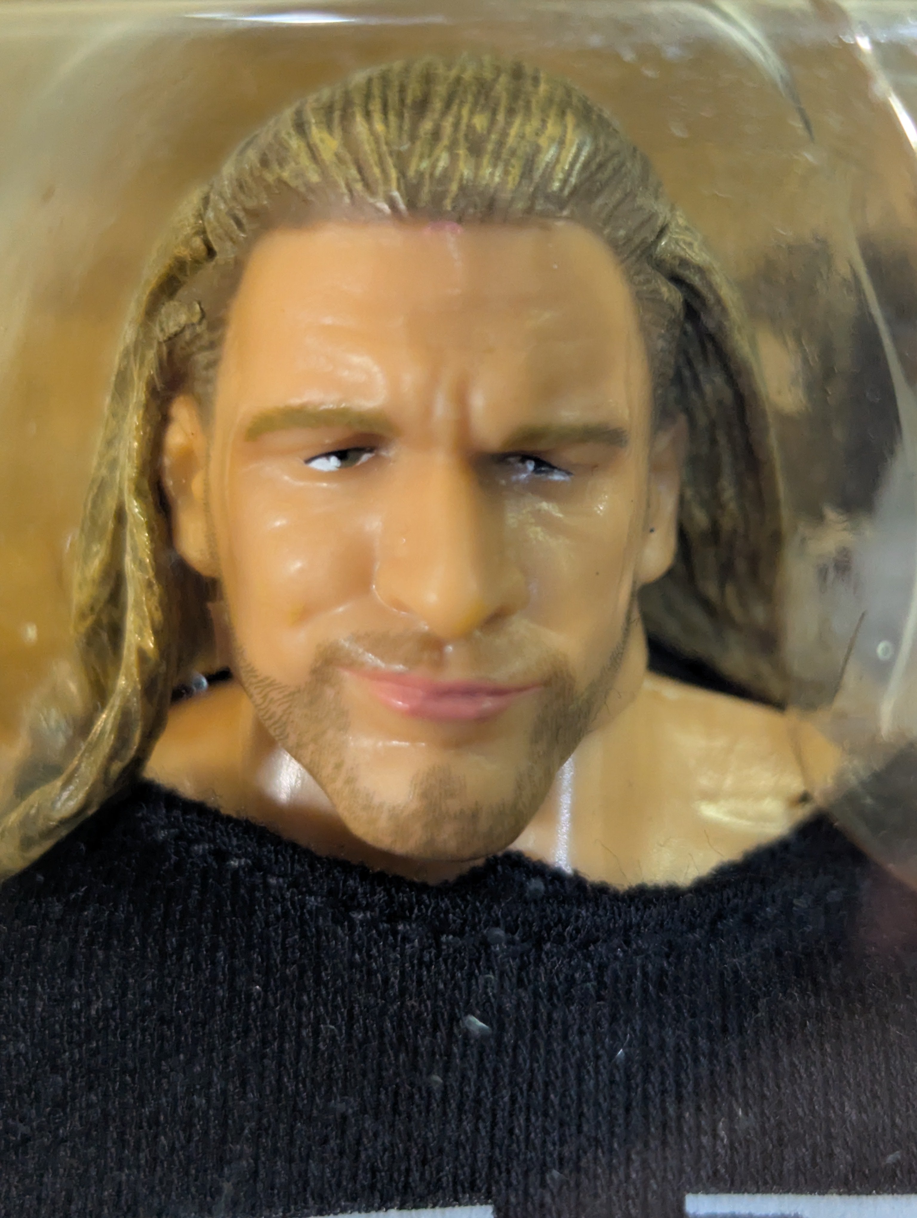 ☆限定☆トリプルH＆ショーン・マイケルズ – 闘道館