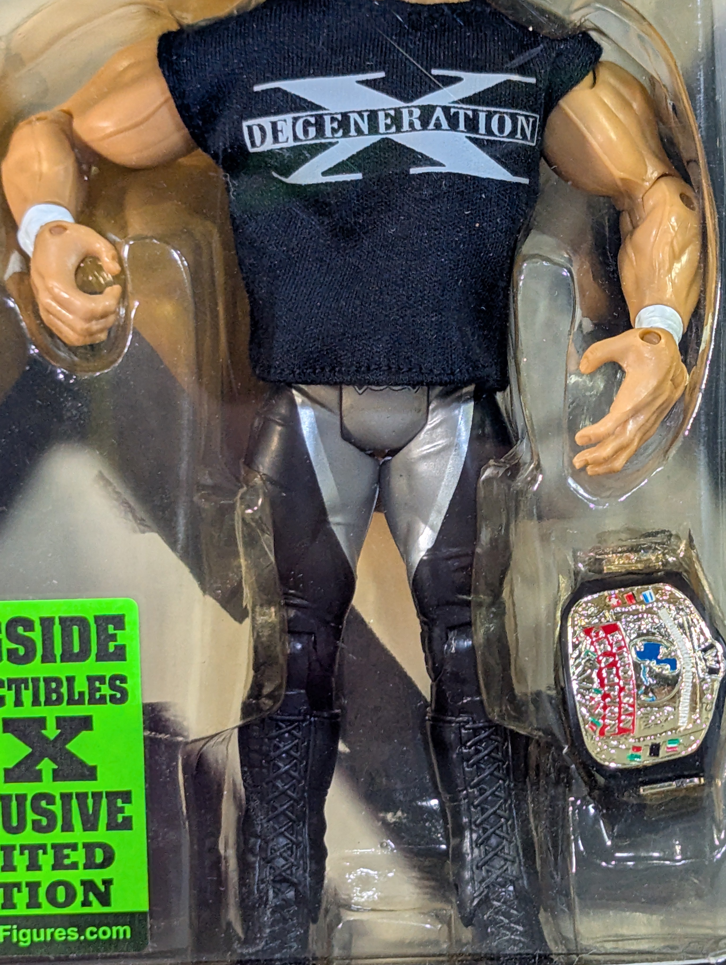 ☆限定☆トリプルH＆ショーン・マイケルズ – 闘道館