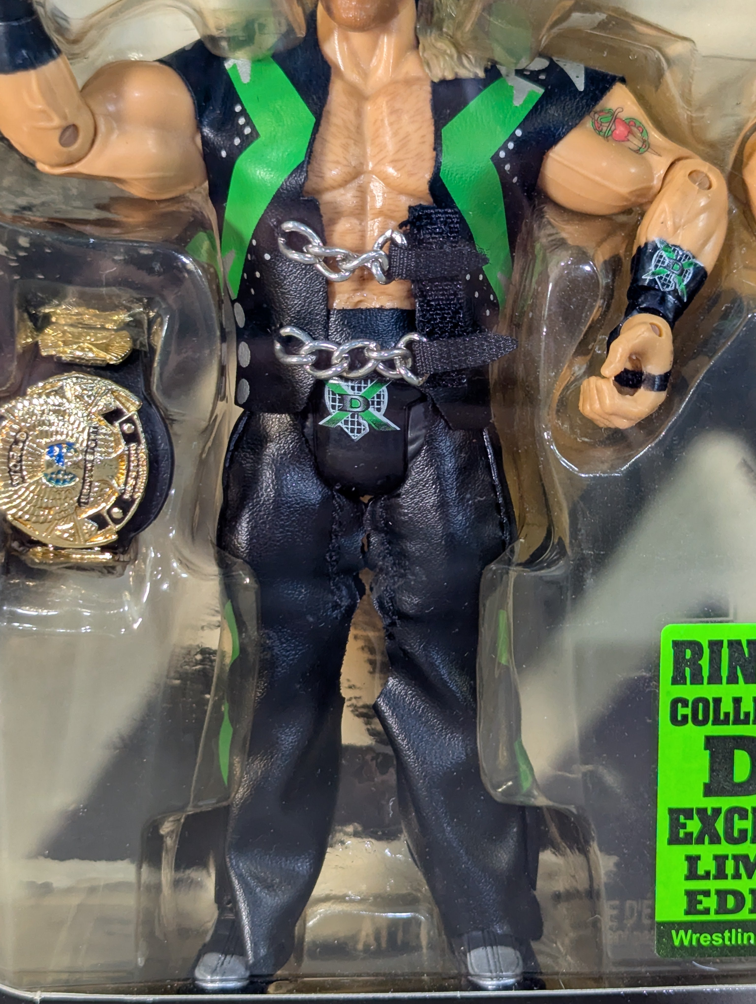 ☆限定☆トリプルH＆ショーン・マイケルズ – 闘道館