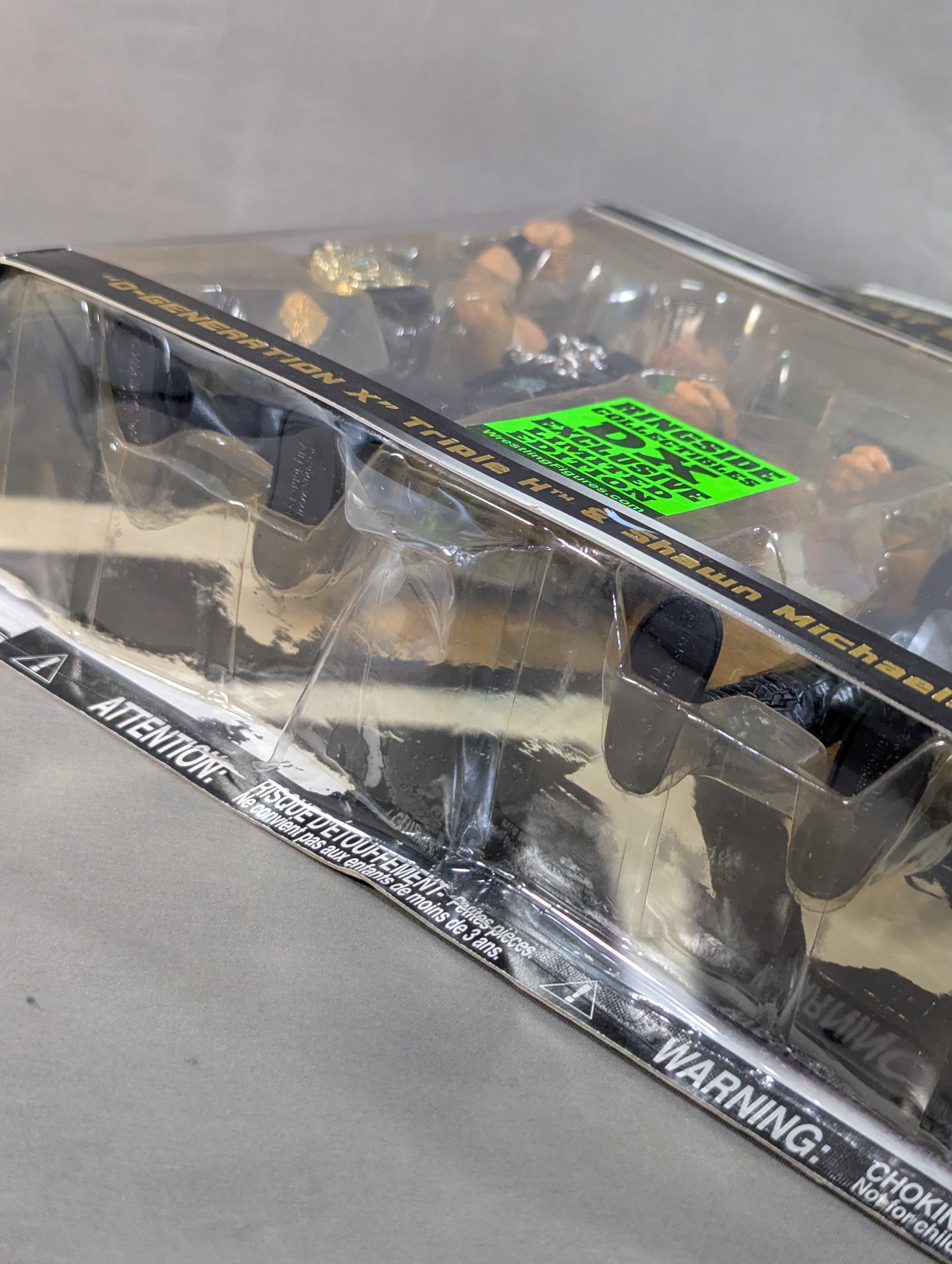 ☆限定☆トリプルH＆ショーン・マイケルズ – 闘道館