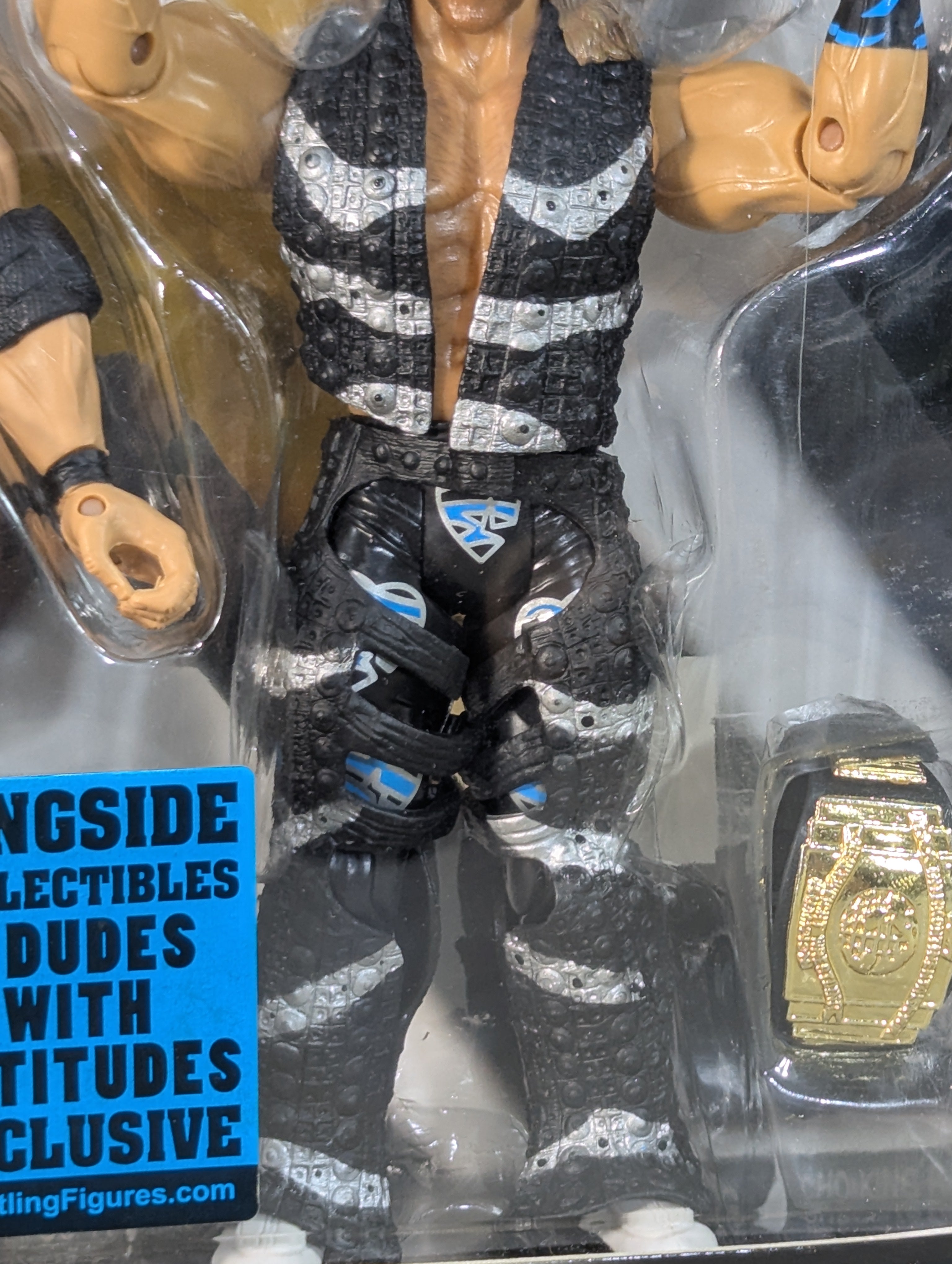 ケビン・ナッシュ&ショーン・マイケルズ – 闘道館