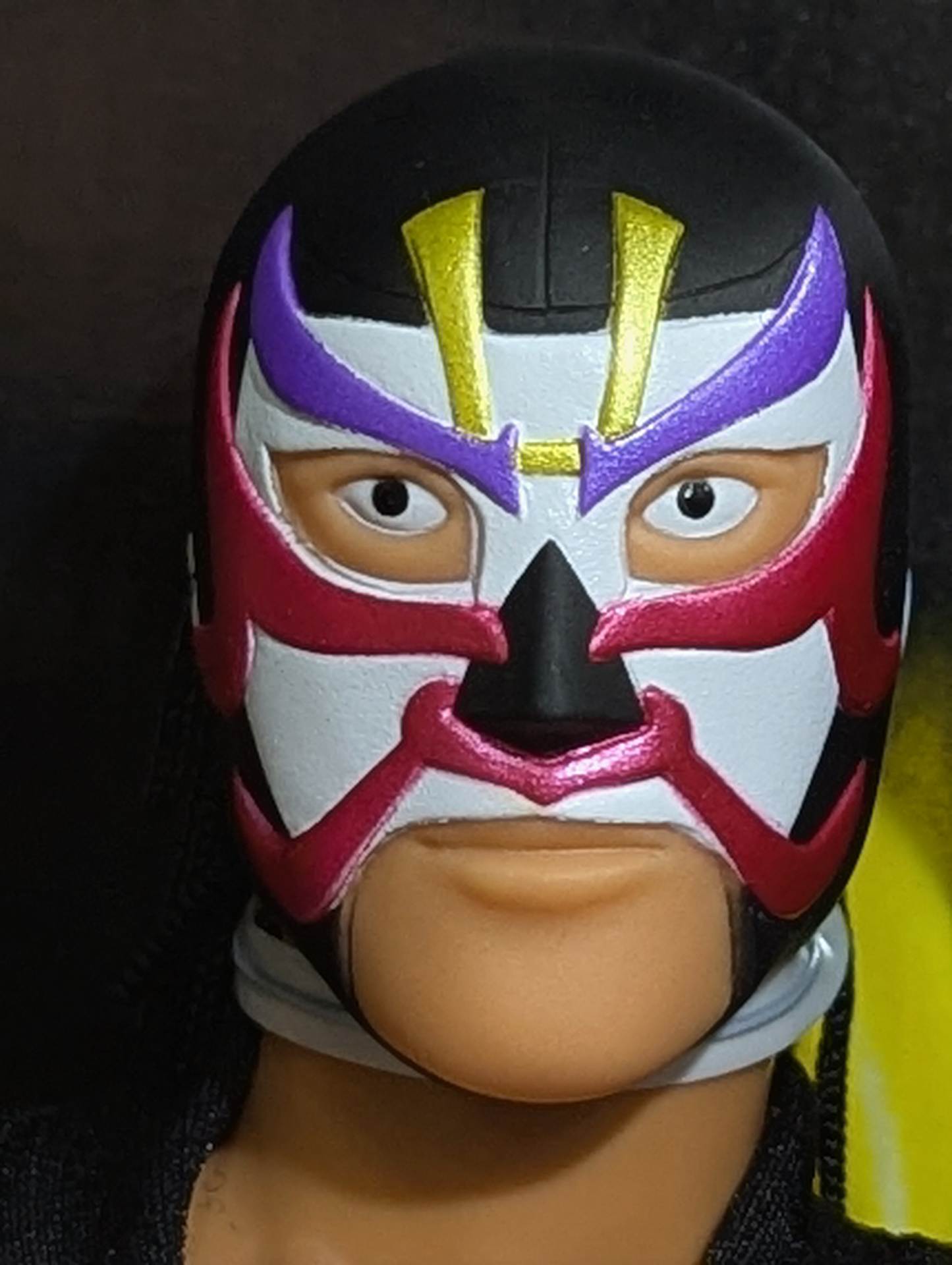 直筆サイン入り】☆限定版☆ ザ・グレート・サスケ – 闘道館