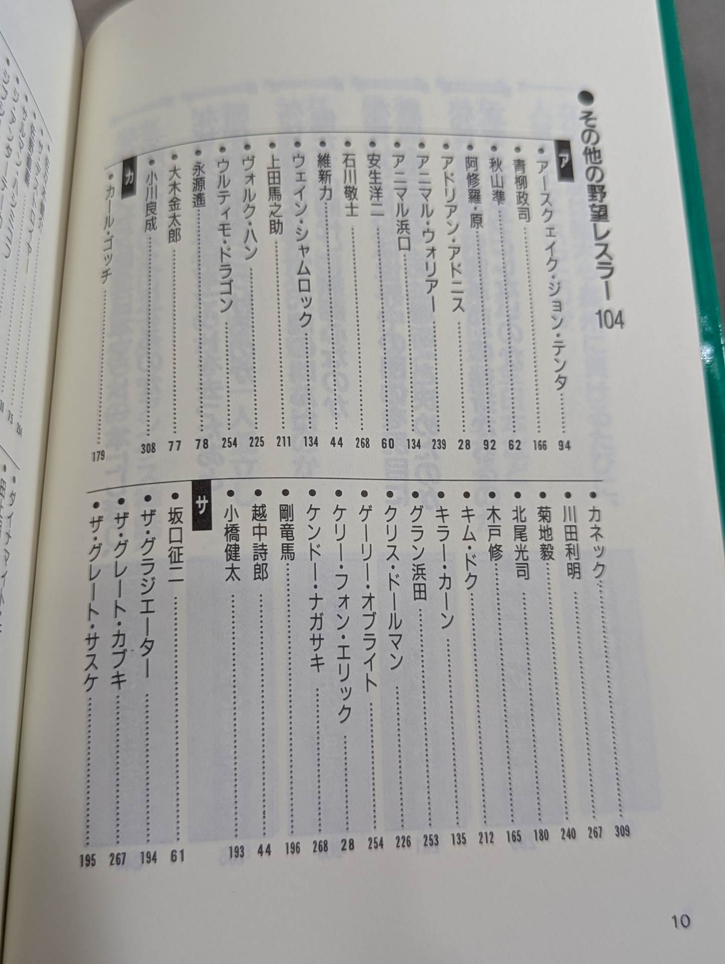 ポケットブック47 プロレスラー「野望」の読み方