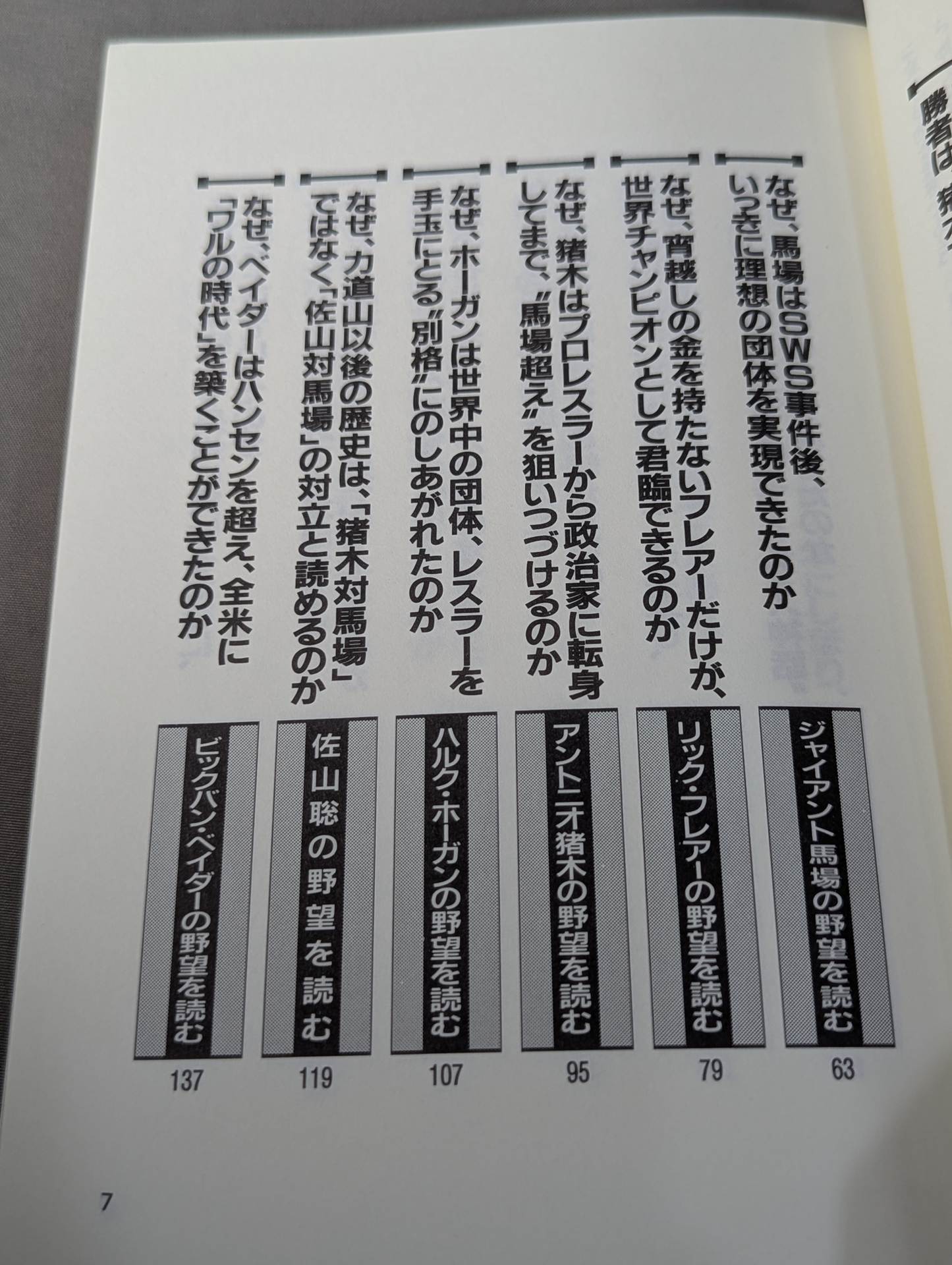 ポケットブック47 プロレスラー「野望」の読み方