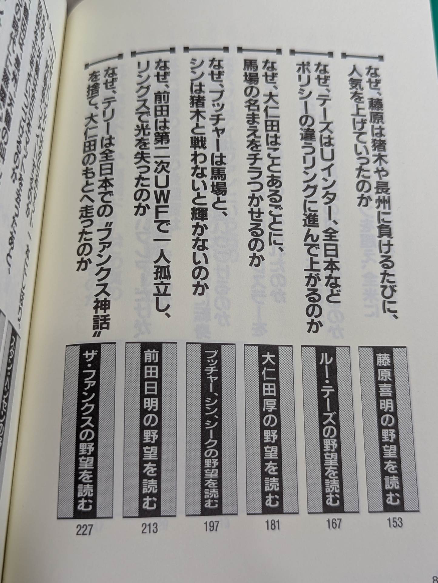 ポケットブック47 プロレスラー「野望」の読み方