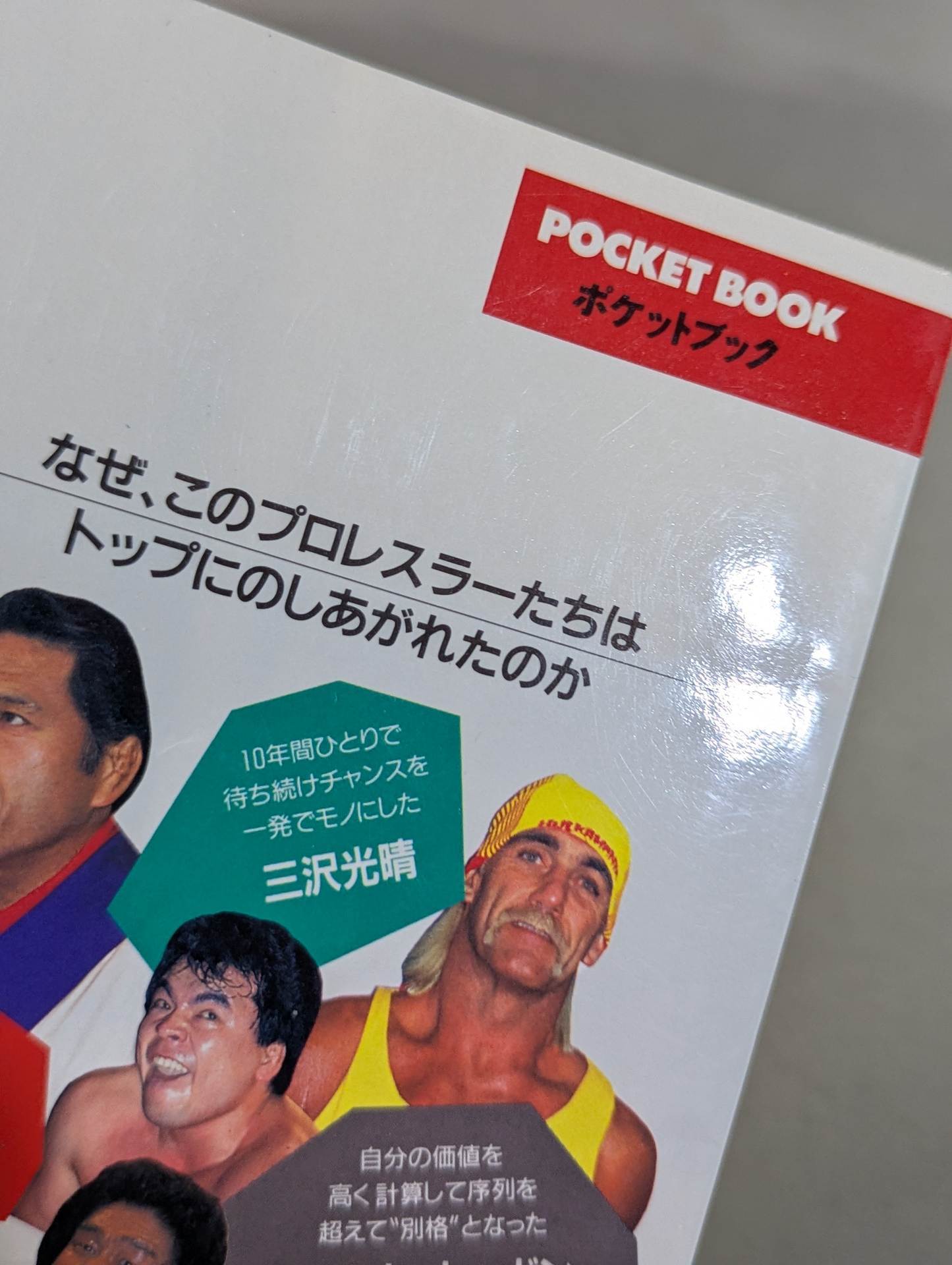 ポケットブック47 プロレスラー「野望」の読み方