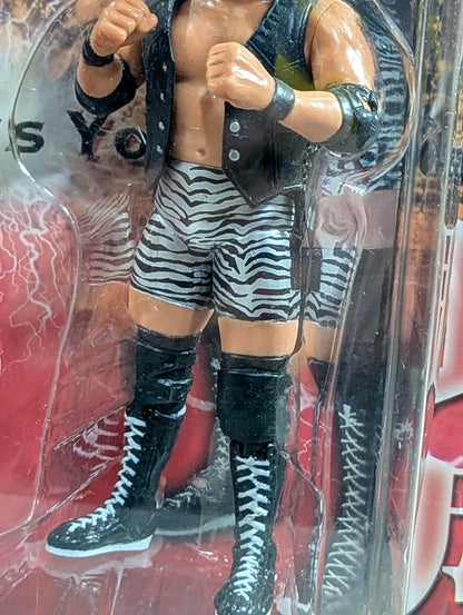 ★ ★ Limited Yoshinari Ogawa & Naomichi Marufuji
