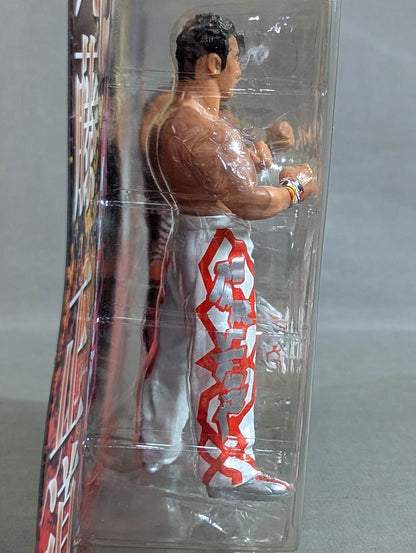 ★ ★ Limited Yoshinari Ogawa & Naomichi Marufuji