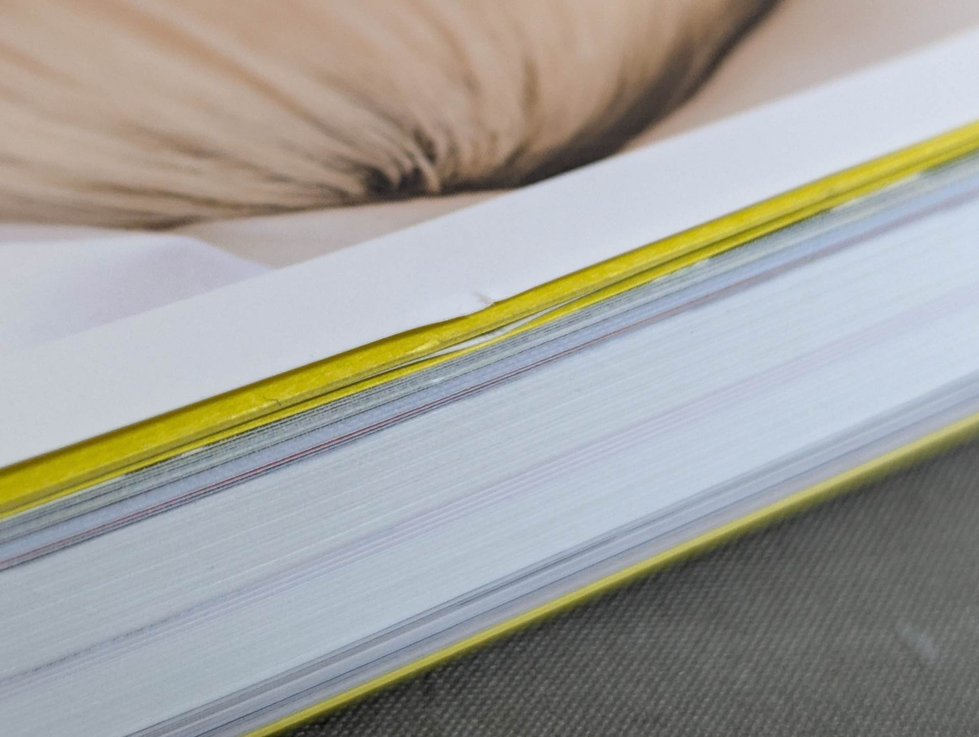 直筆サイン入り】なつぽいフォトエッセイ 29/30 (にーきゅーさんぜろ