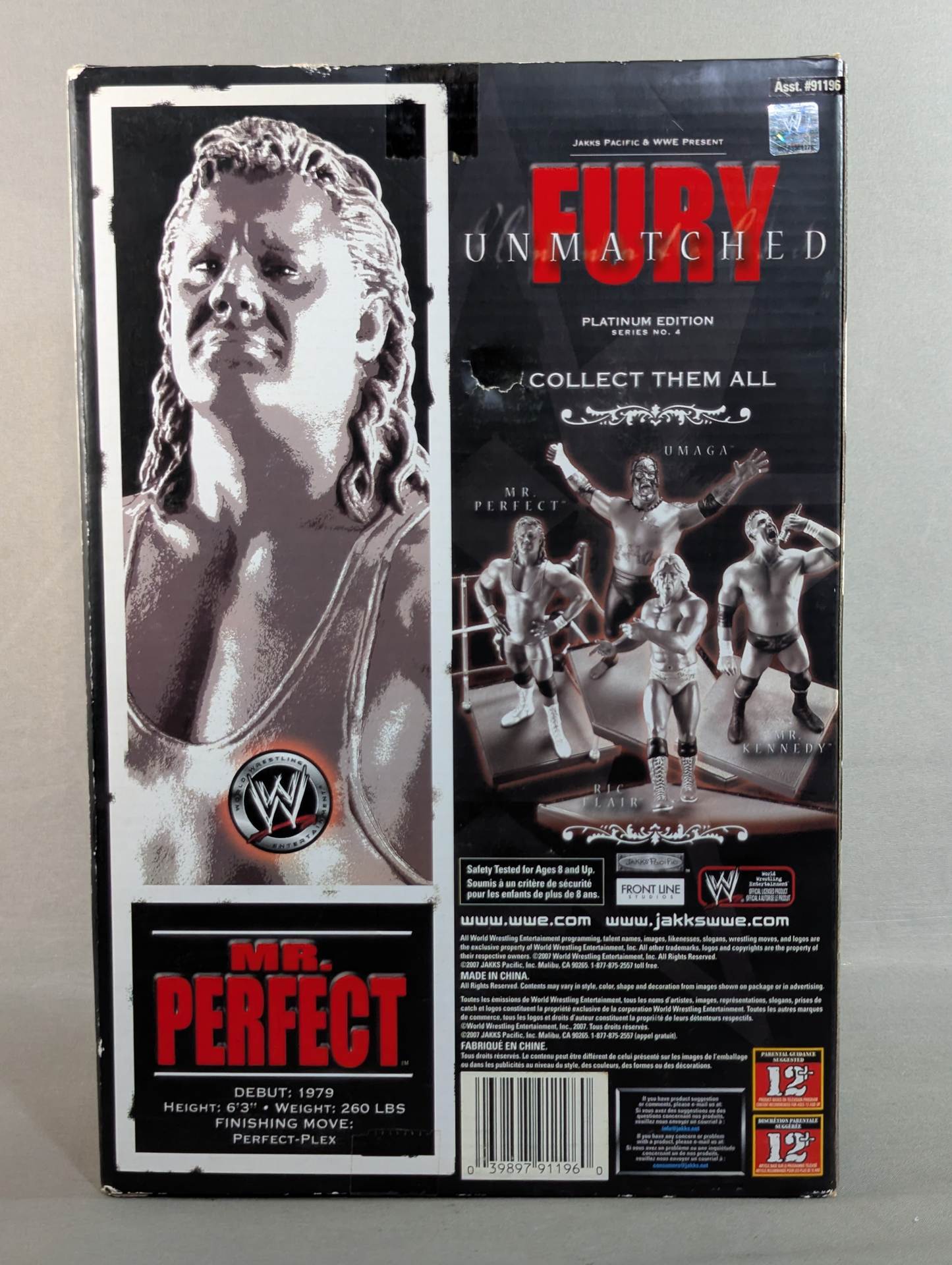 ☆UNMATCHED FURY☆ ミスター・パーフェクト – 闘道館