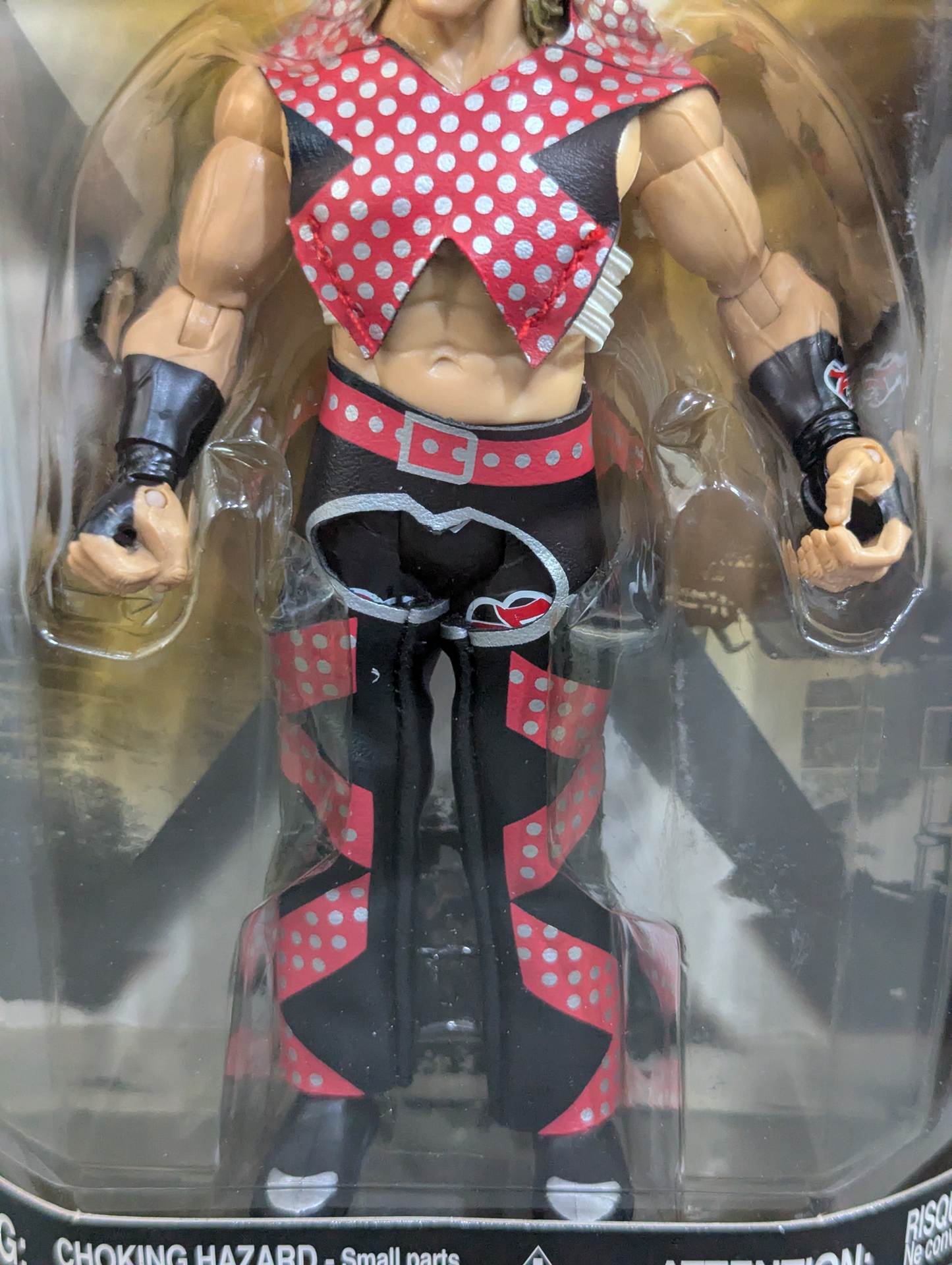 ショーン・マイケルズ – 闘道館