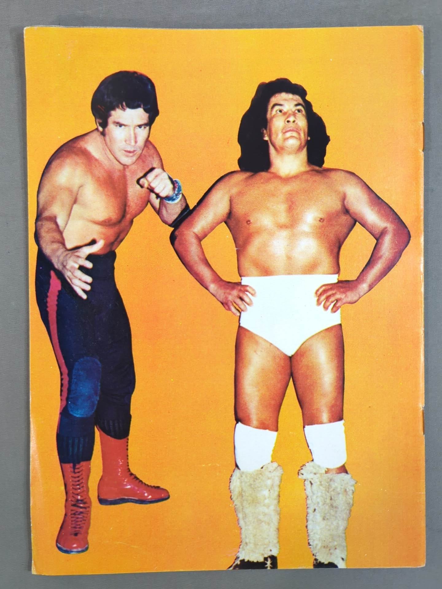 LUCHA LIBRE No.1224