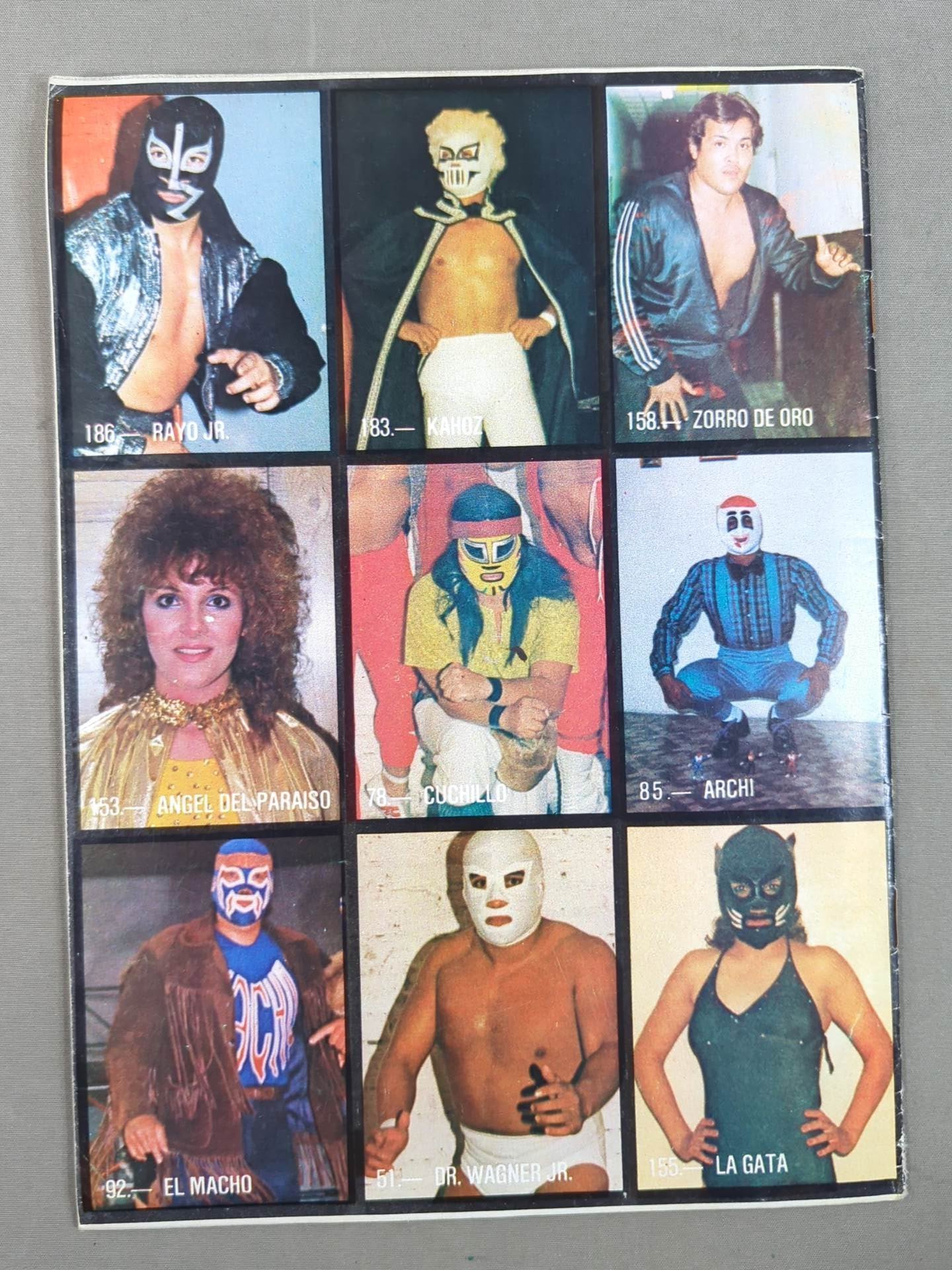 LUCHA LIBRE No.1243