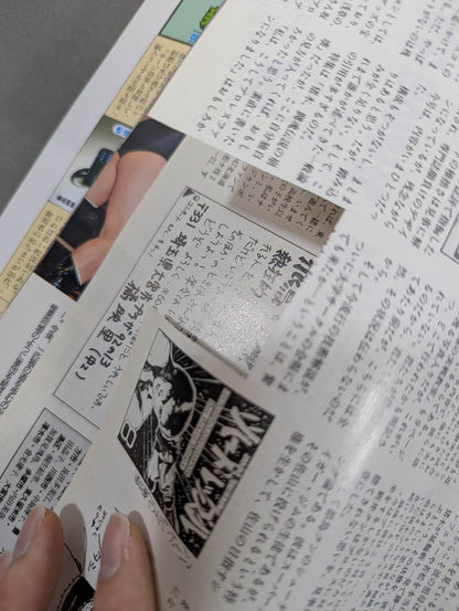 Deluxe Pro Wrestling April 1987