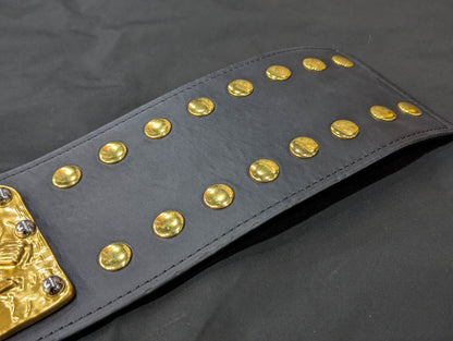 NWF World Heavyweight Championship Belt