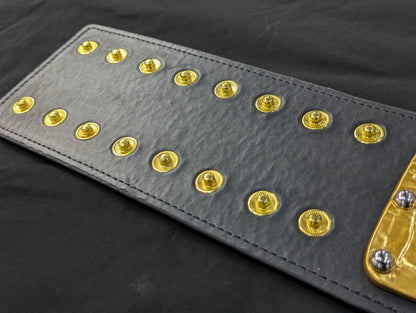 NWF World Heavyweight Championship Belt