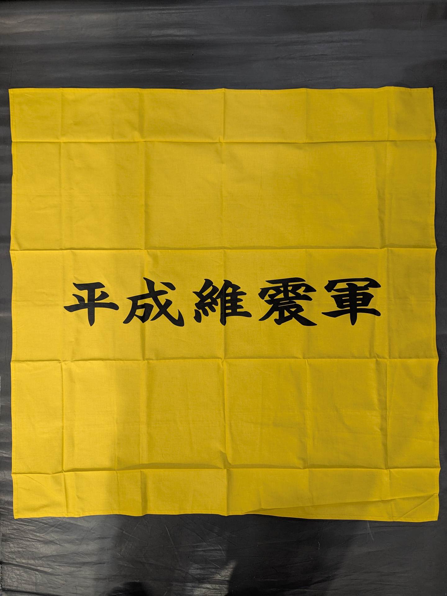平成維震軍 軍旗
