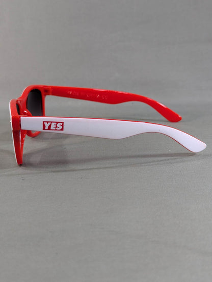 Daniel Bryan Sunglasses
